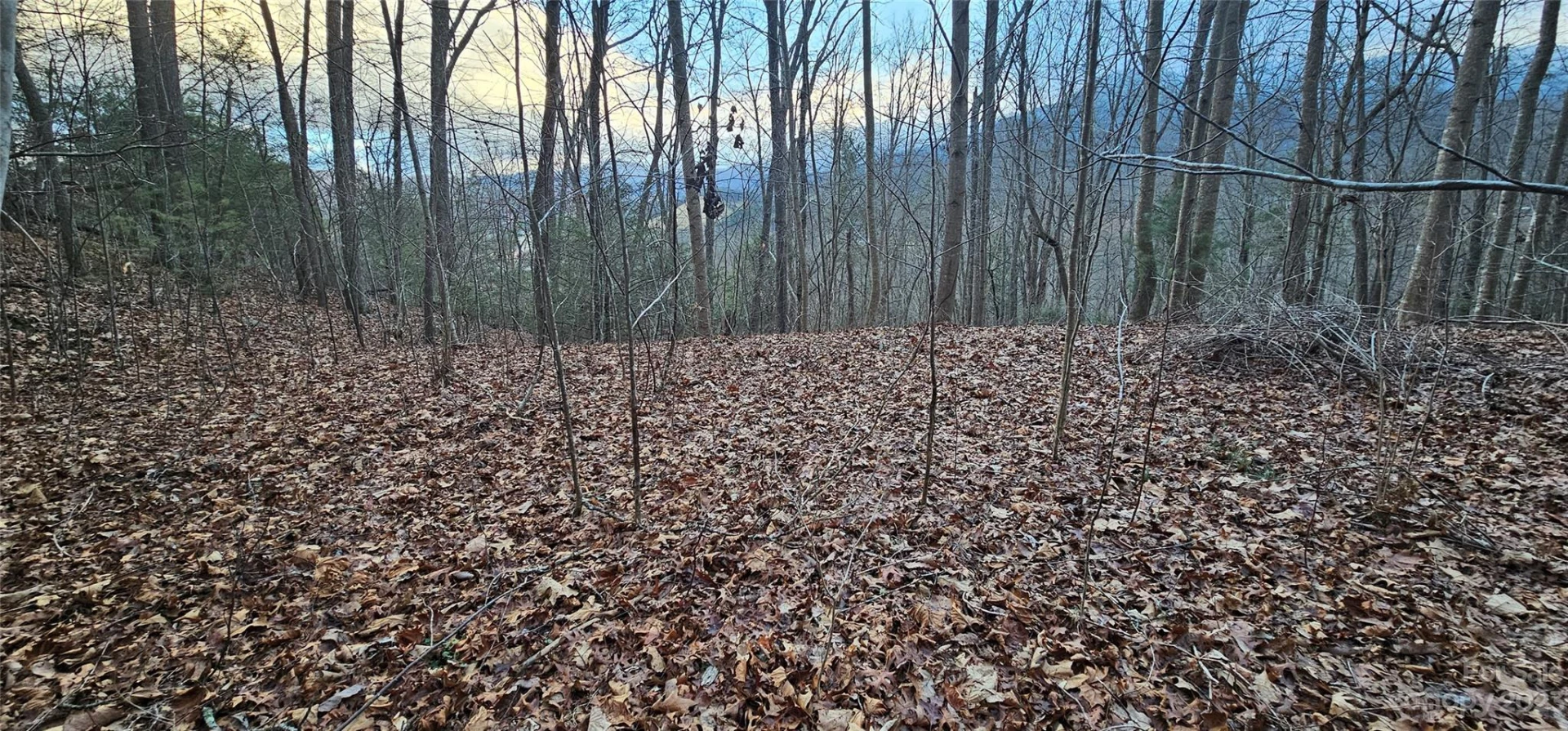 Lot 10 Seay Mountain Road - Photo 14