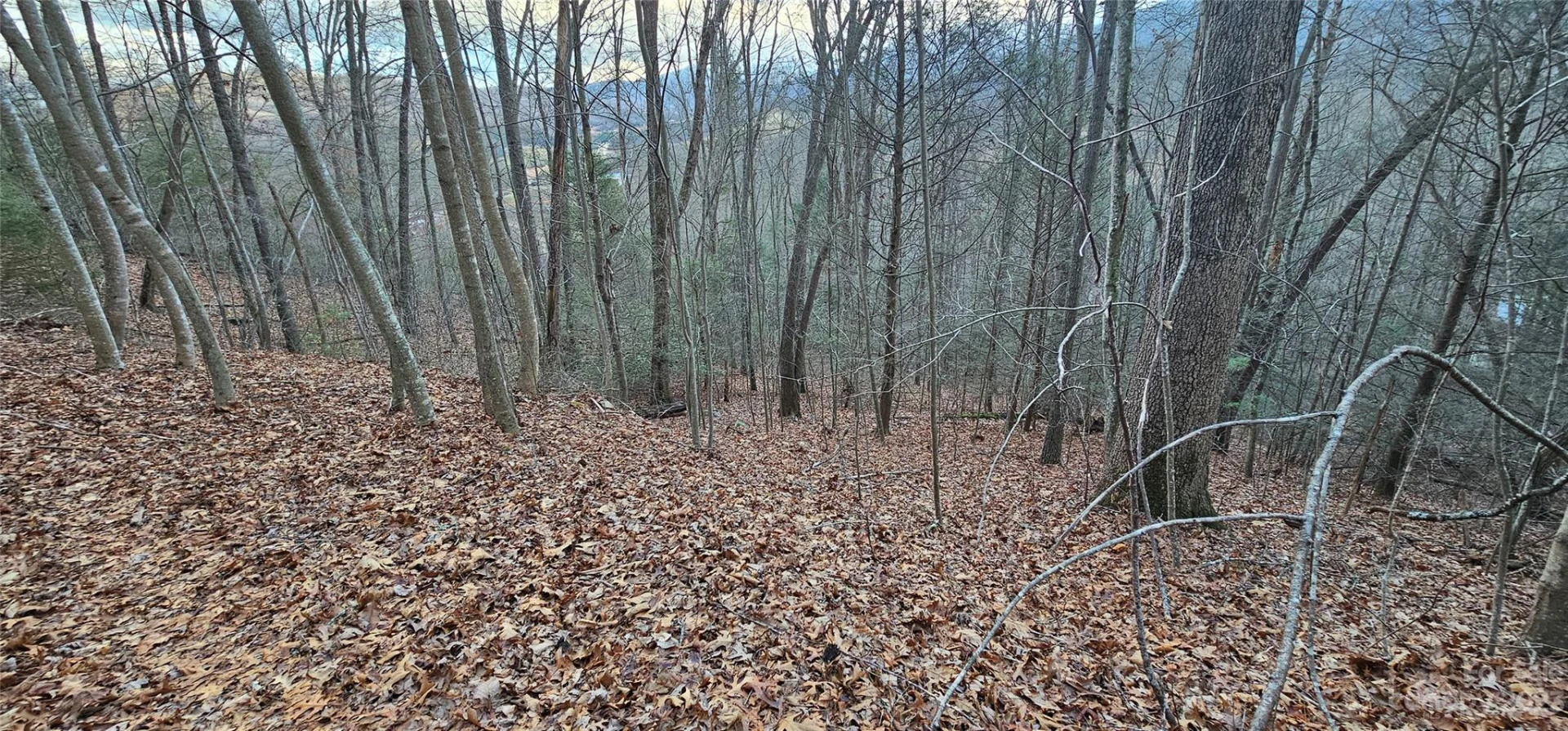 Lot 10 Seay Mountain Road - Photo 3