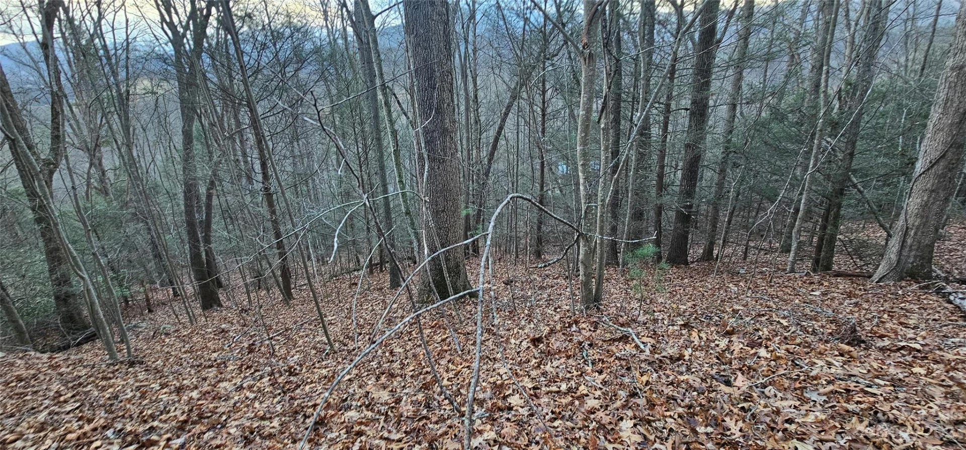 Lot 10 Seay Mountain Road - Photo 4