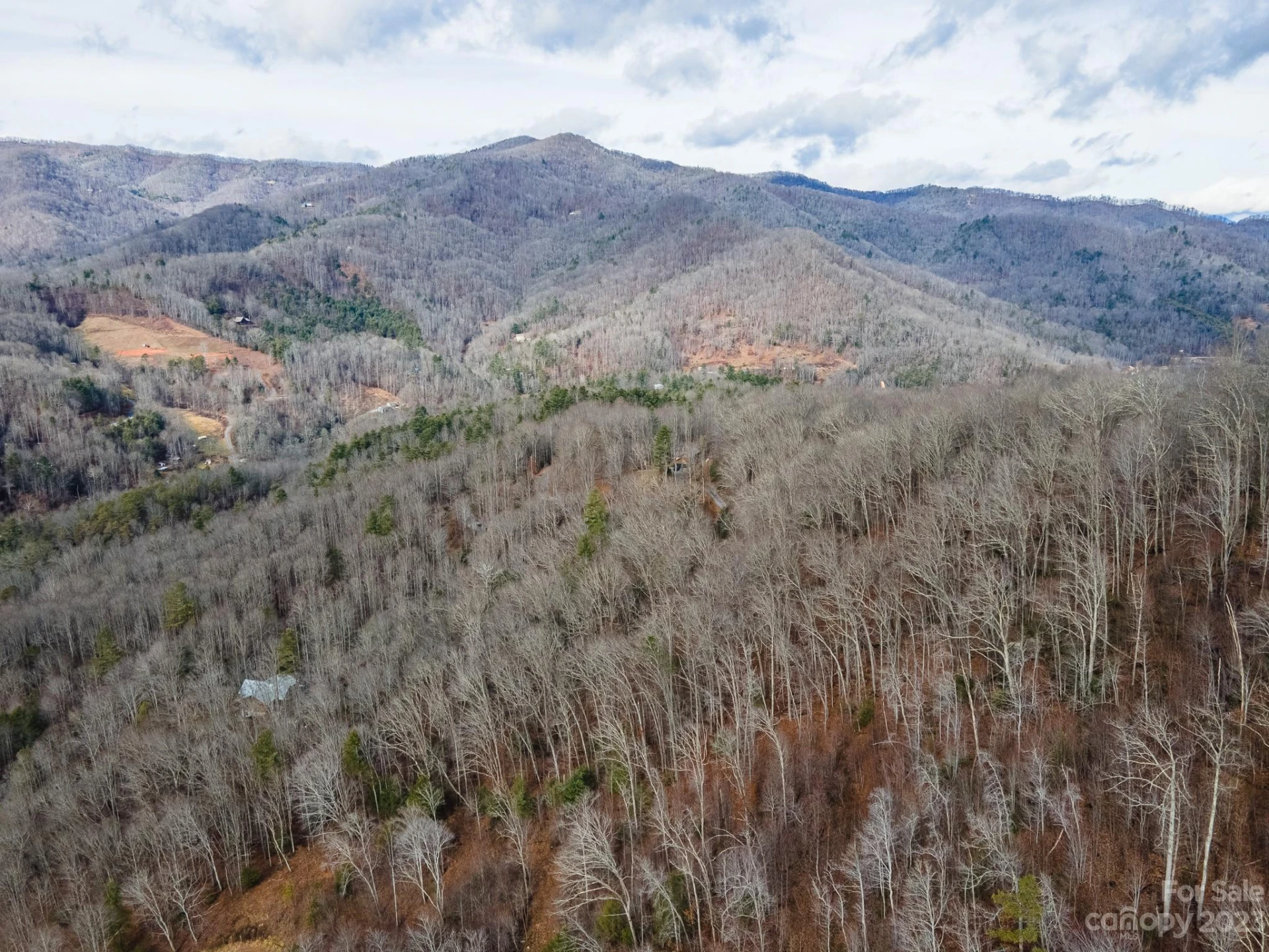 Lot 10 Seay Mountain Road - Photo 32