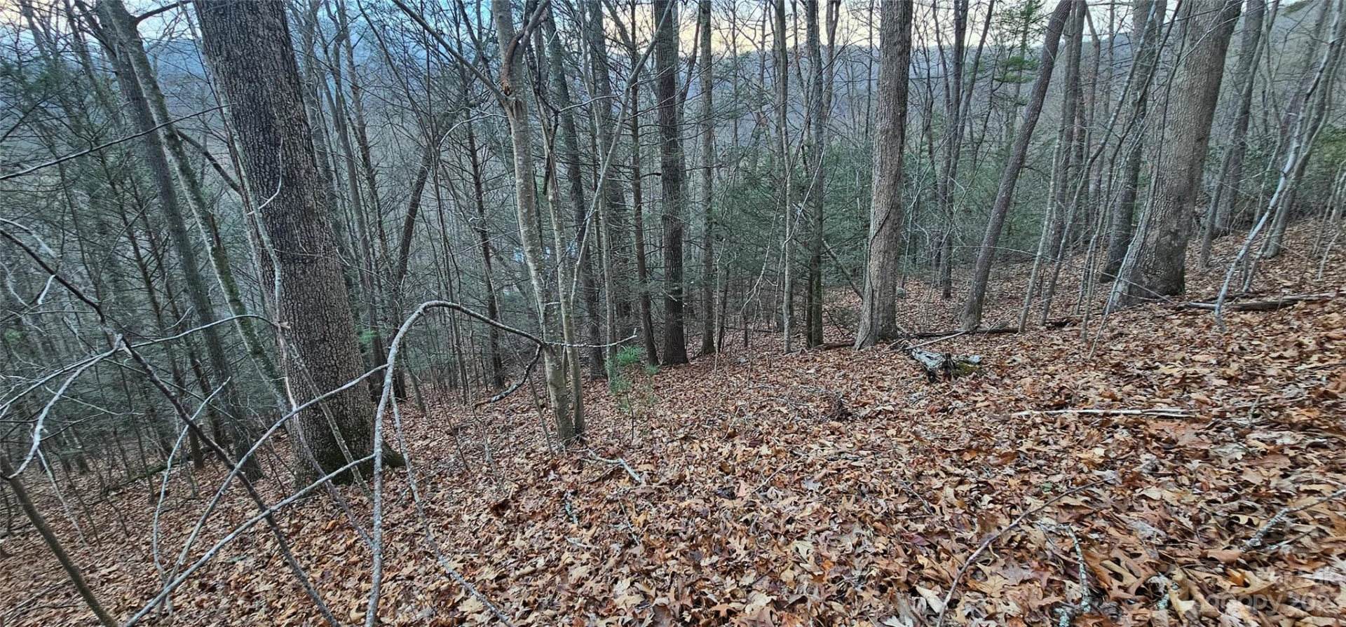 Lot 10 Seay Mountain Road - Photo 5