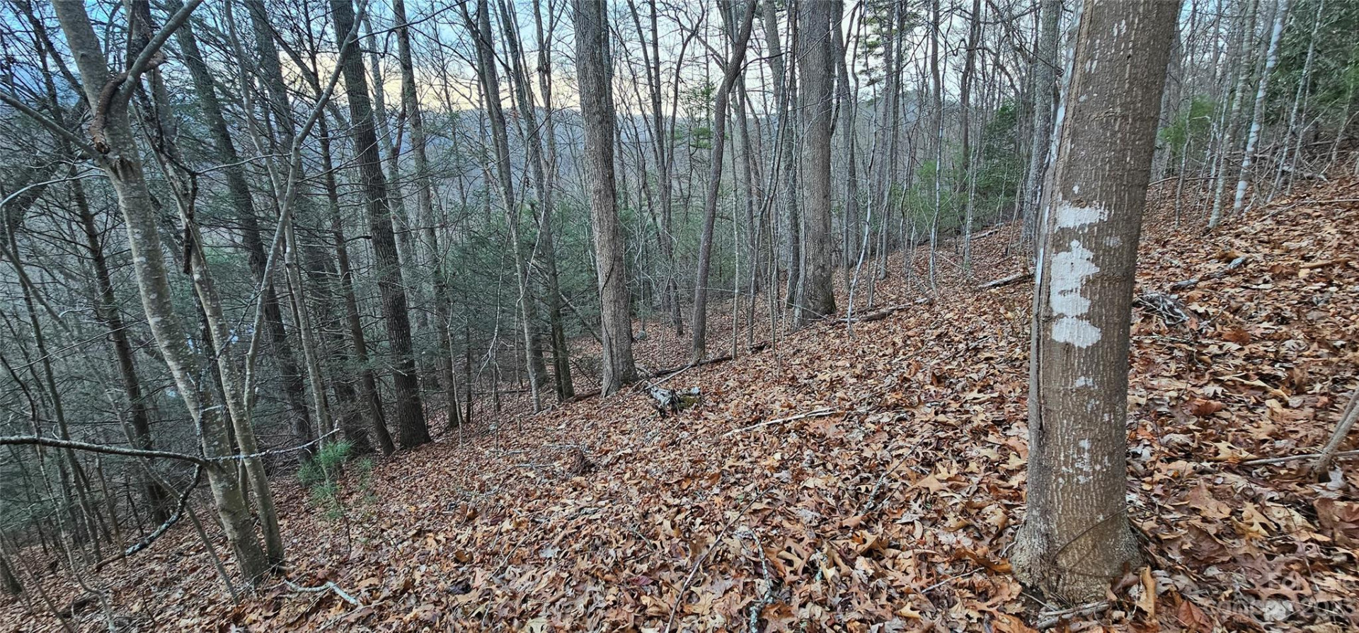 Lot 10 Seay Mountain Road - Photo 7