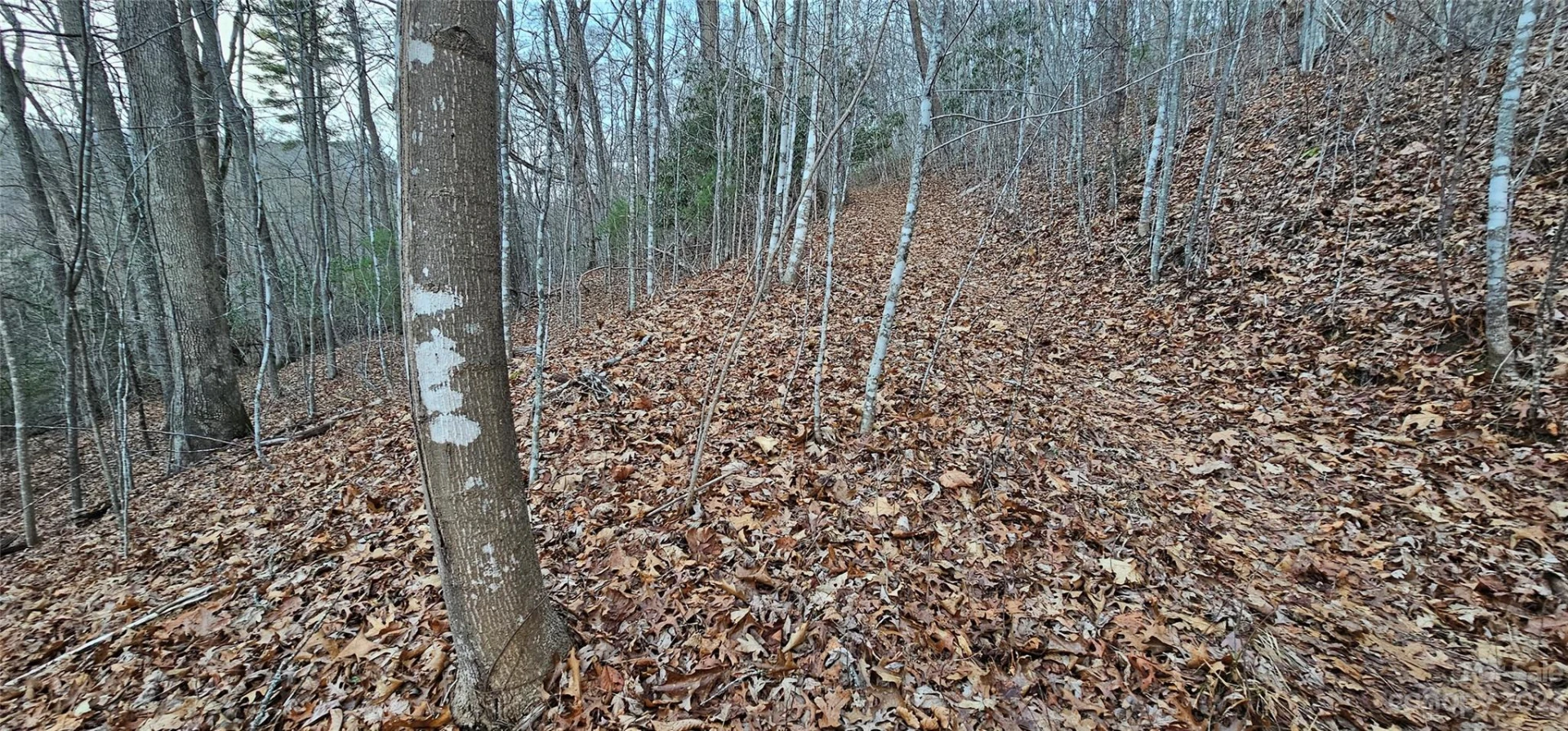 Lot 10 Seay Mountain Road - Photo 8