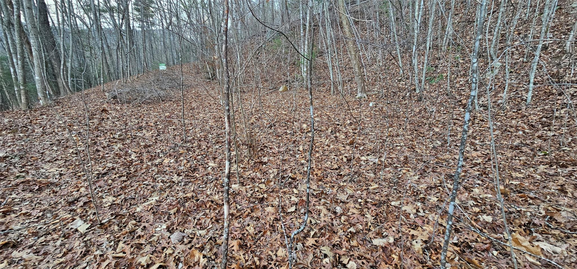 Lot 10 Seay Mountain Road - Photo 10