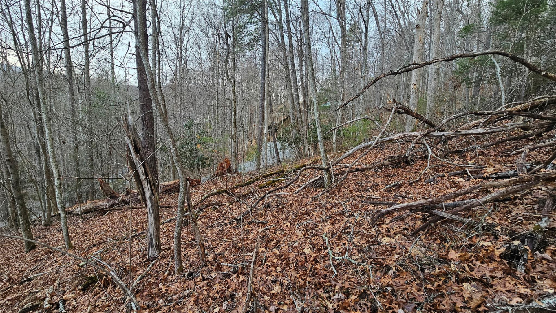 Lot 13 Seay Mountain Road - Photo 2