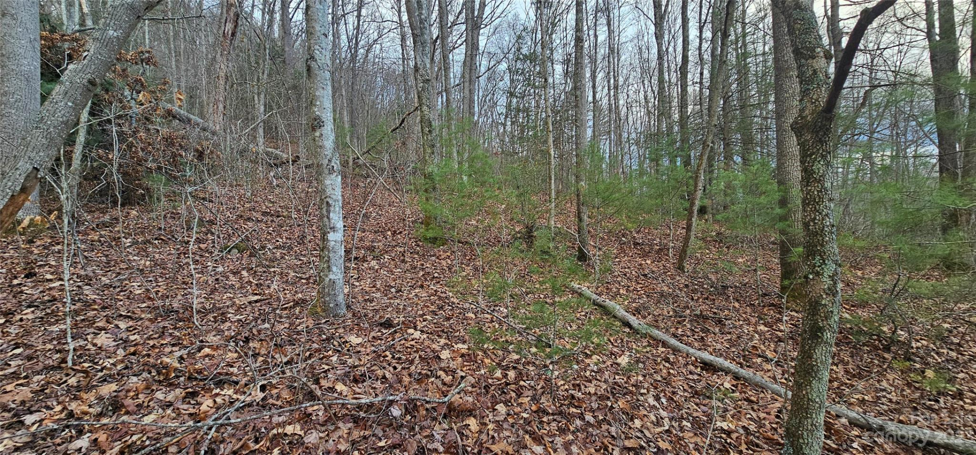 Lot 13 Seay Mountain Road - Photo 11