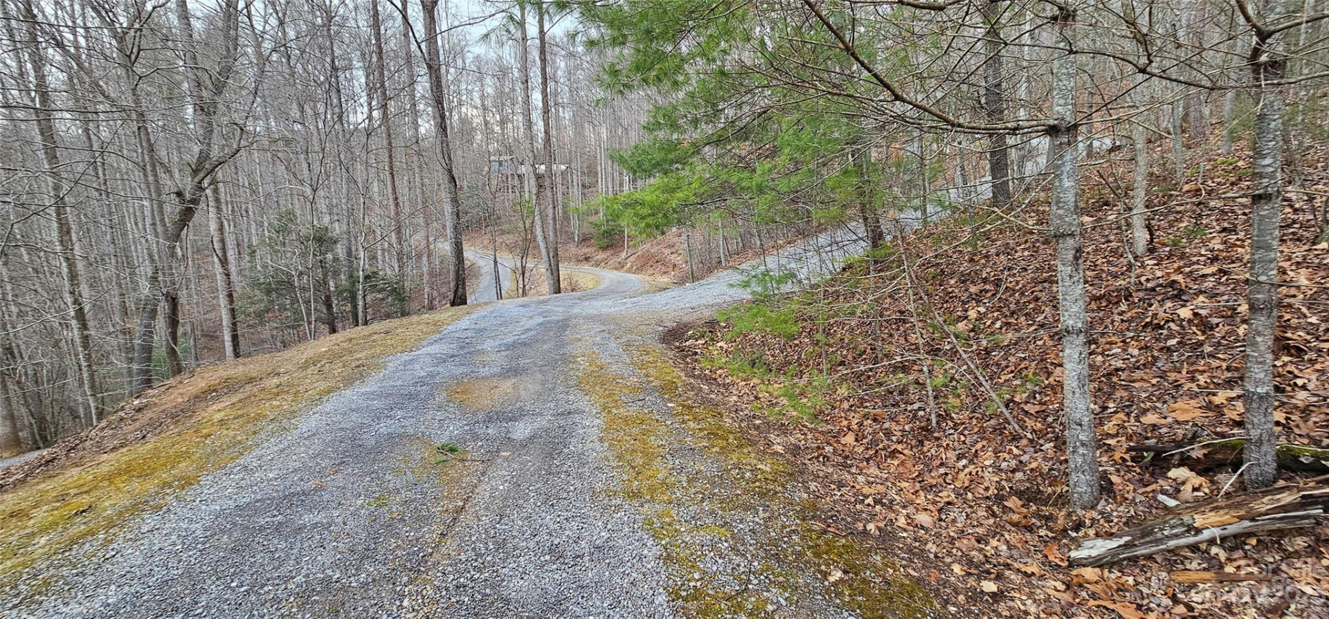 Lot 13 Seay Mountain Road - Photo 12