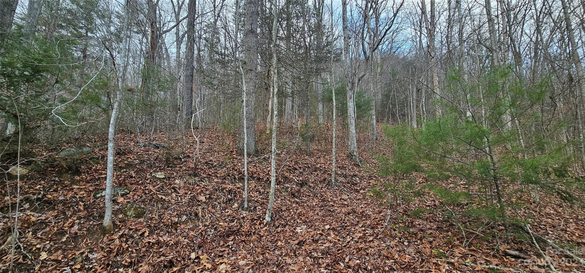 Lot 13 Seay Mountain Road - Photo 14