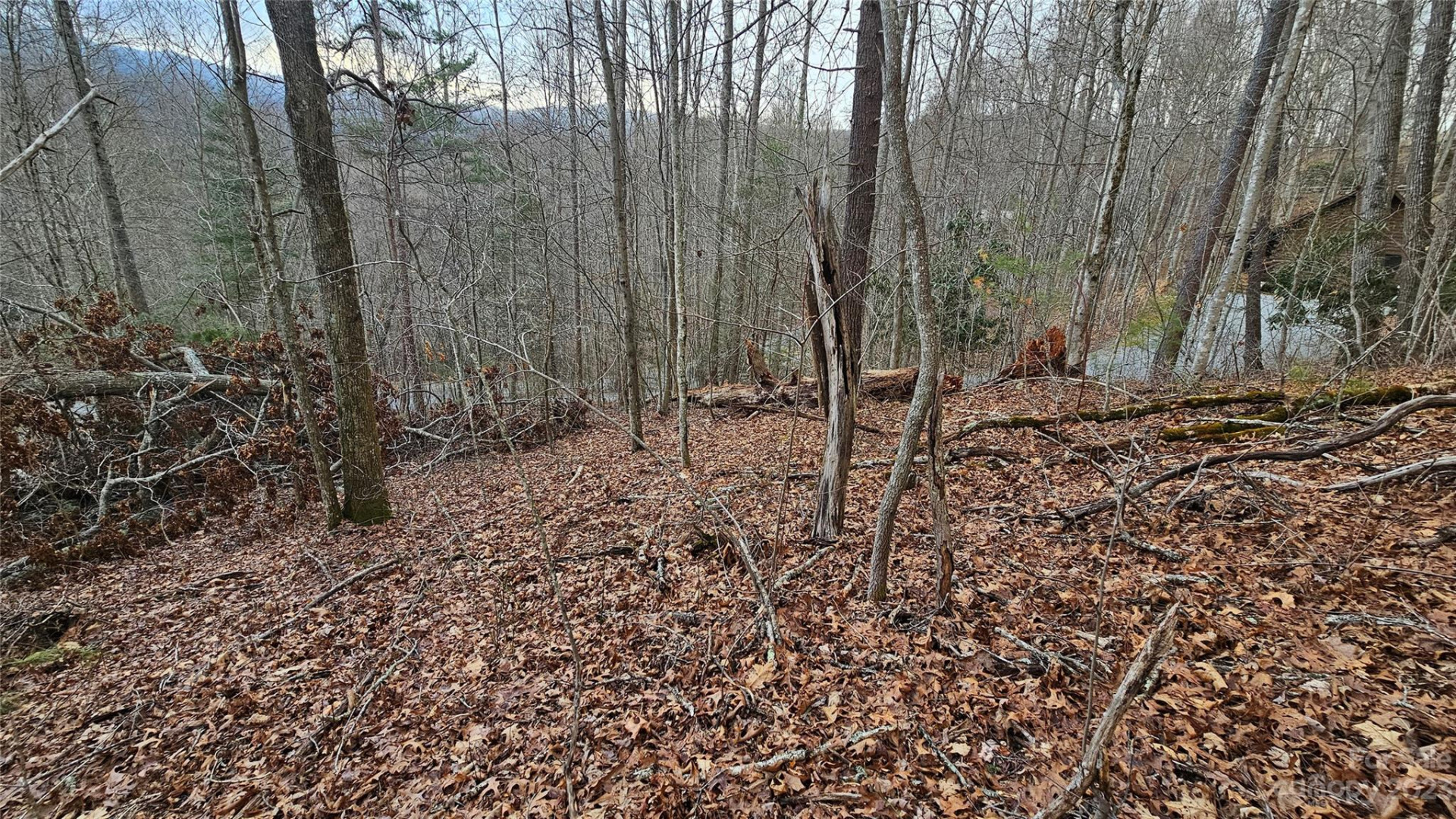Lot 13 Seay Mountain Road - Photo 3