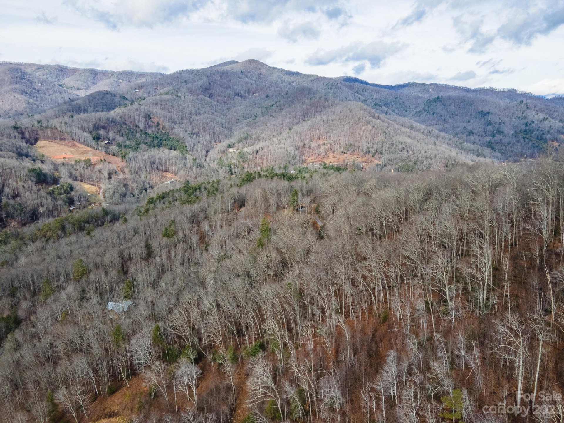 Lot 13 Seay Mountain Road - Photo 29