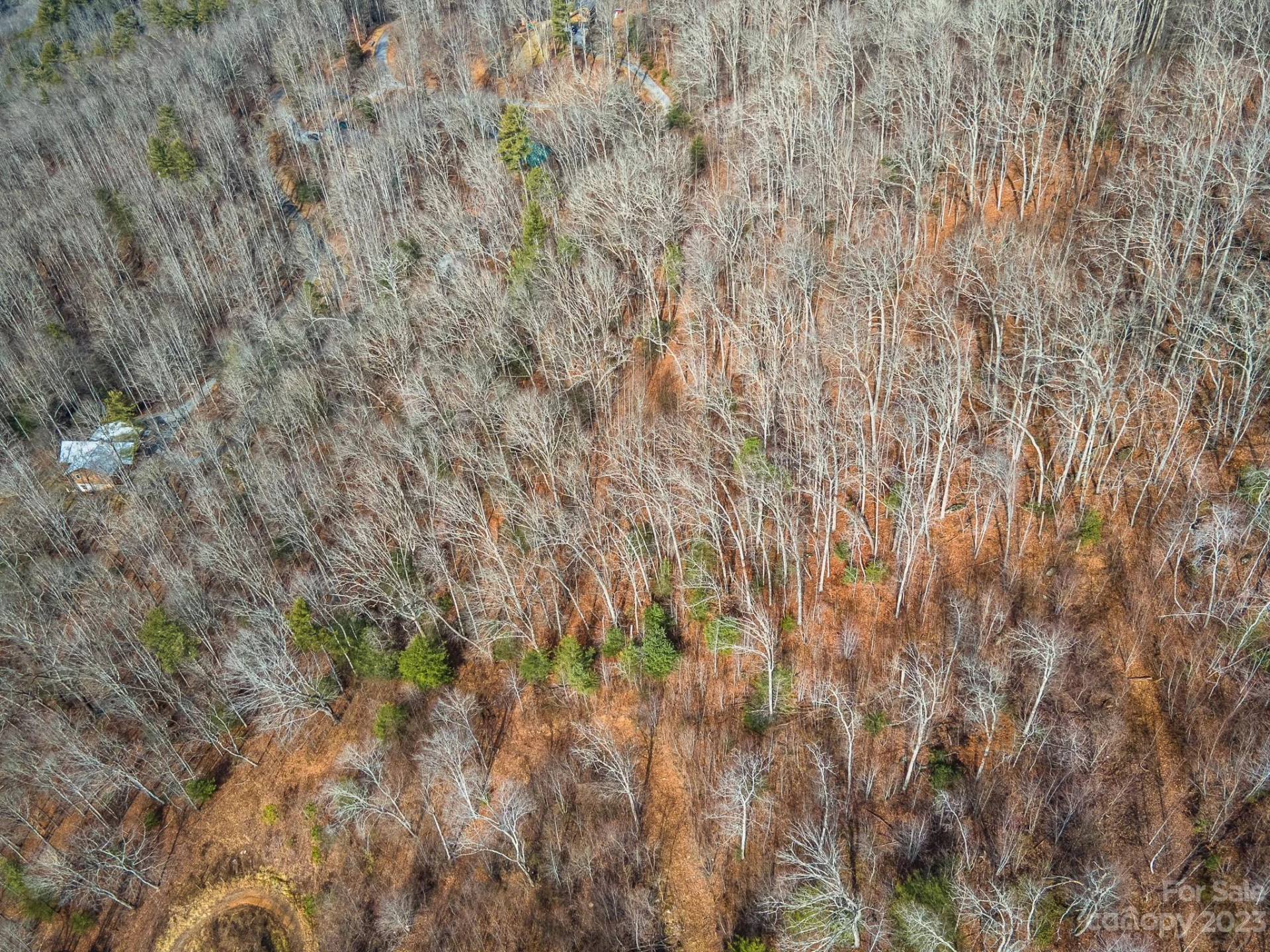 Lot 13 Seay Mountain Road - Photo 32