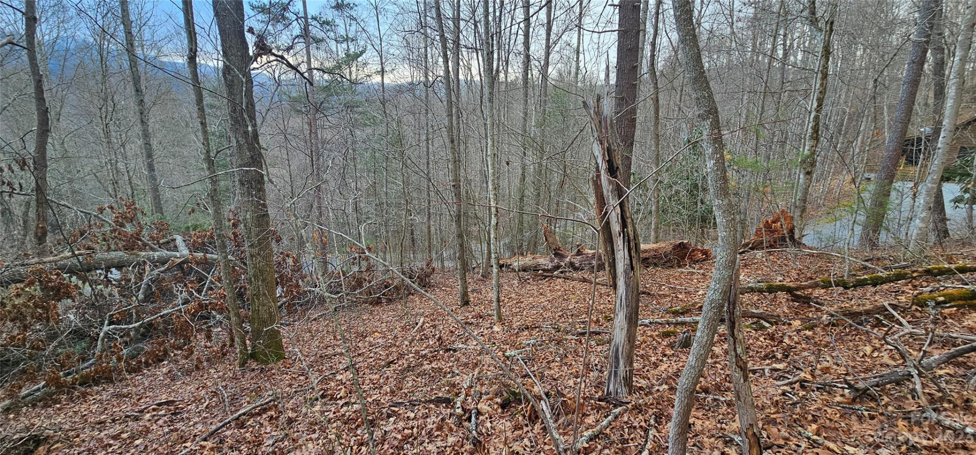 Lot 13 Seay Mountain Road - Photo 5