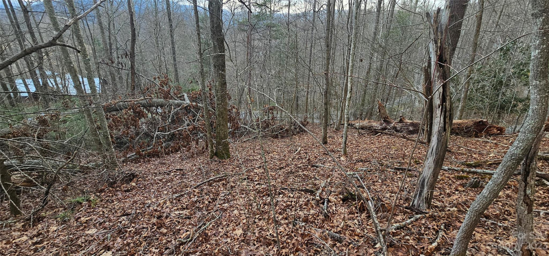 Lot 13 Seay Mountain Road - Photo 6