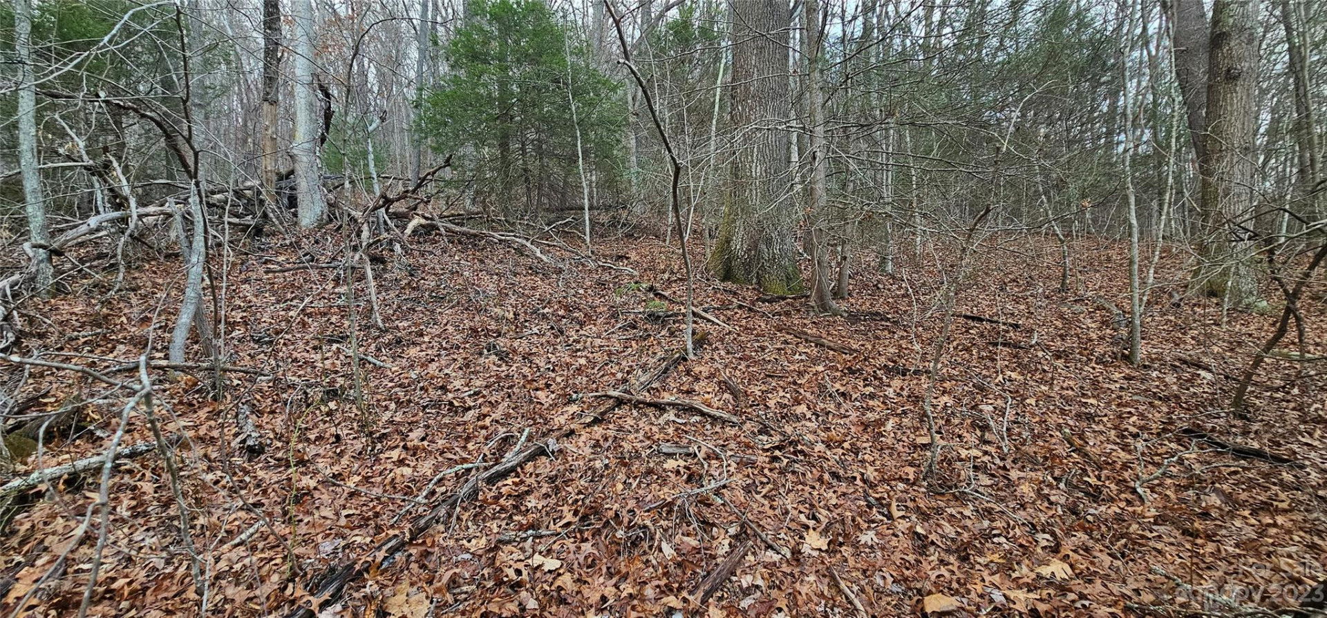 Lot 13 Seay Mountain Road - Photo 7