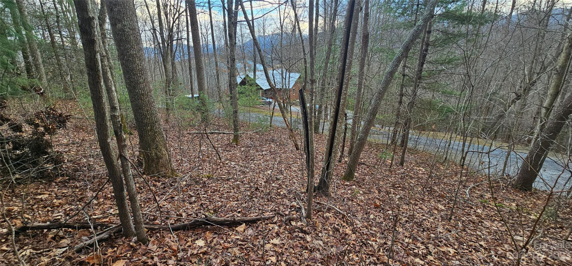 Lot 13 Seay Mountain Road - Photo 9