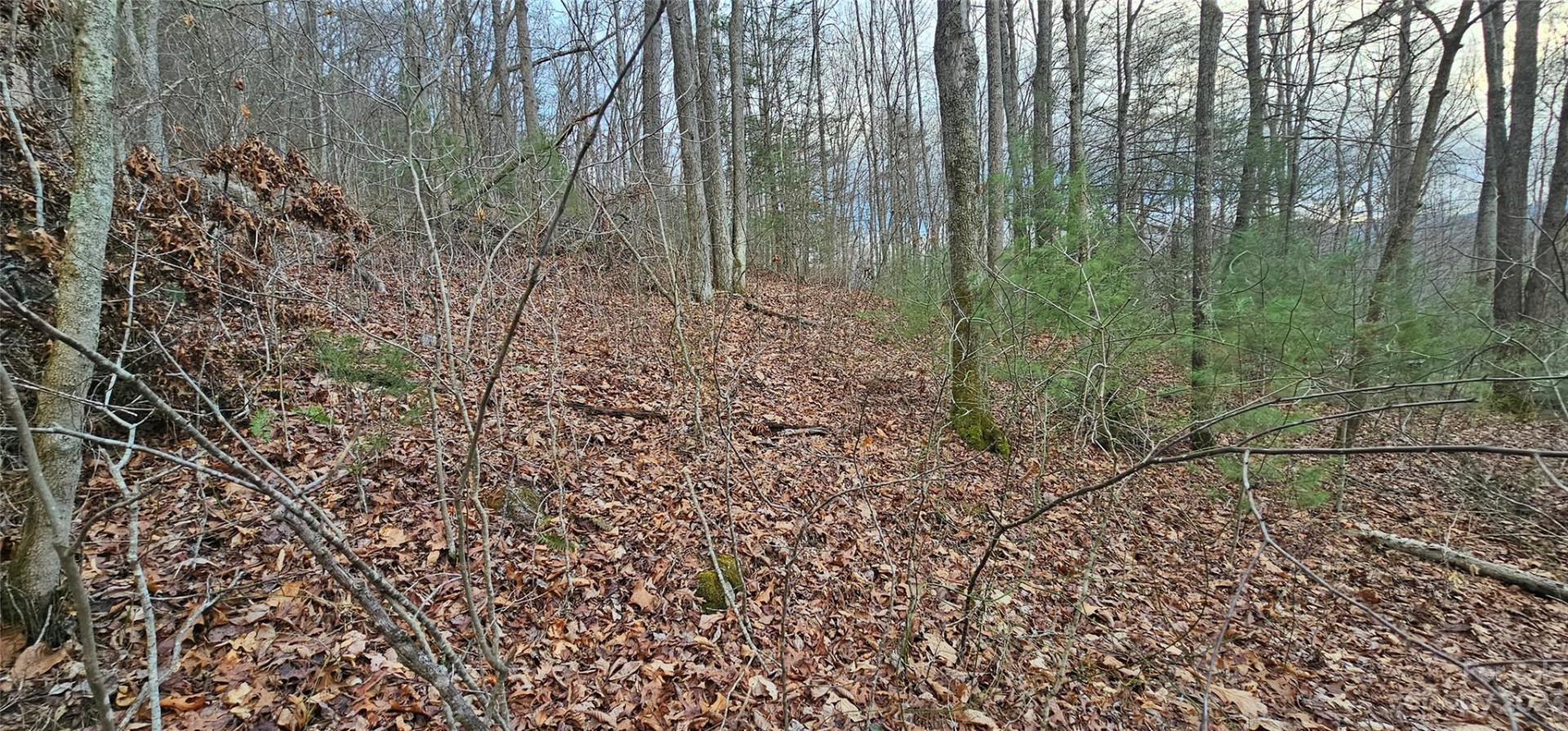 Lot 13 Seay Mountain Road - Photo 10