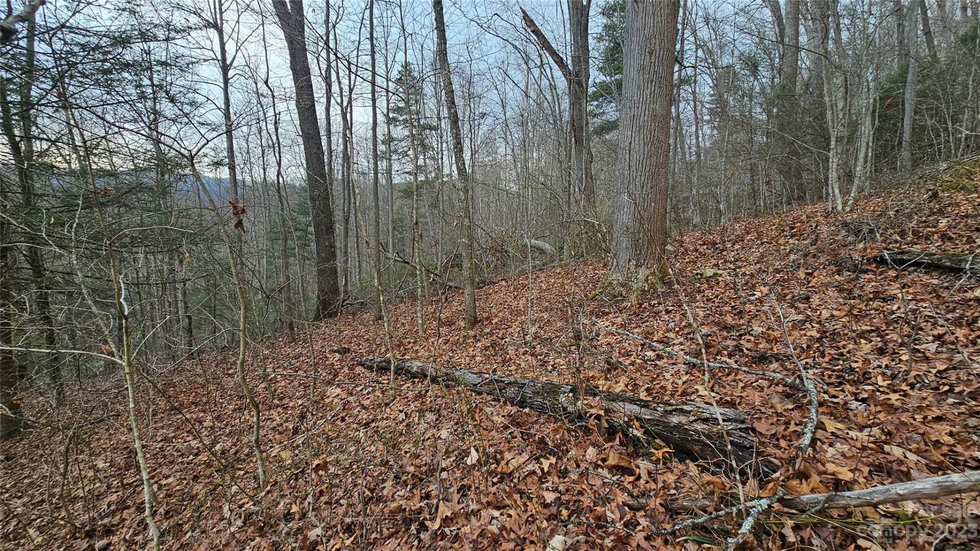 Lot 14 Seay Mountain Road - Photo 4