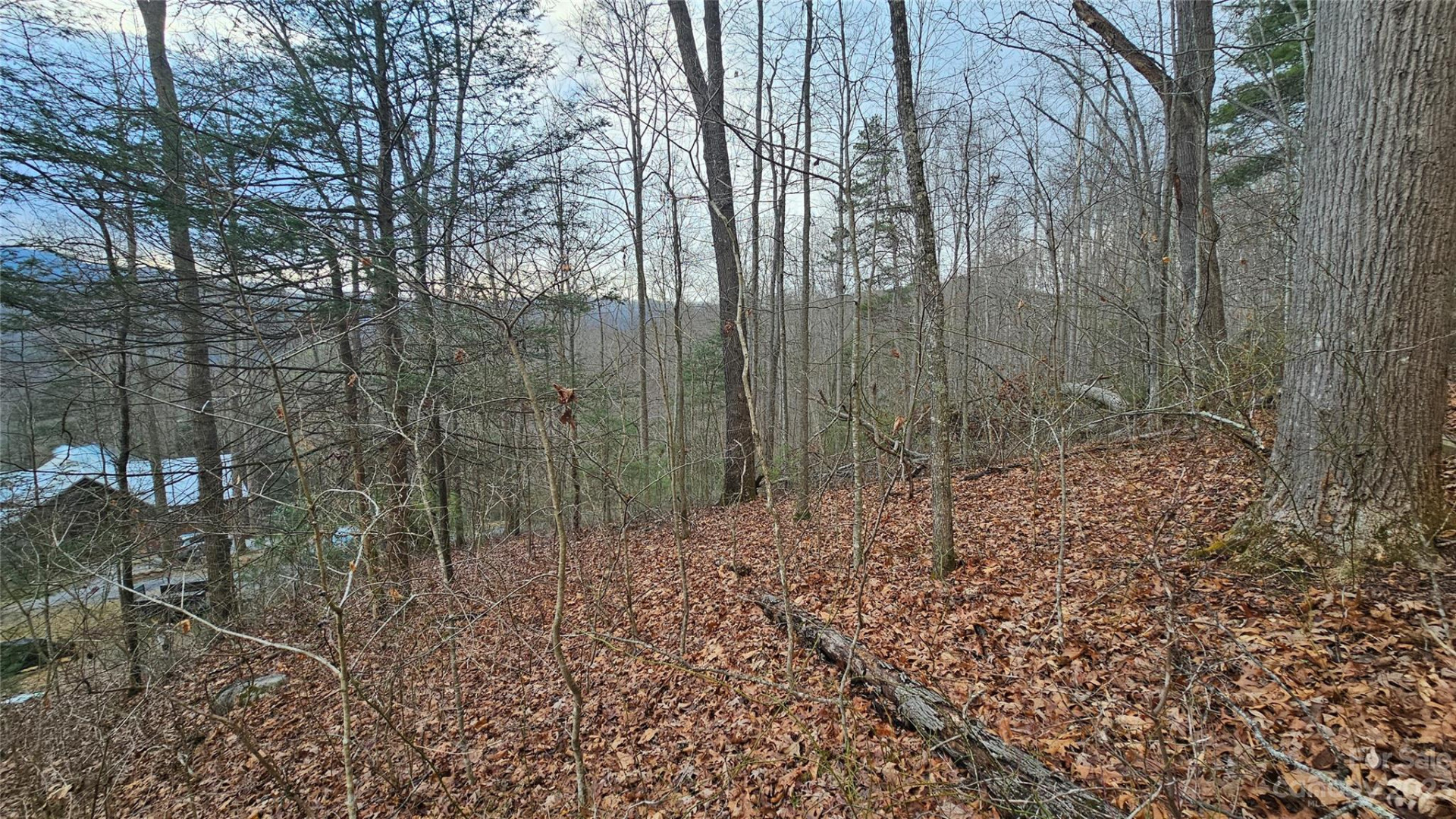 Lot 14 Seay Mountain Road - Photo 6