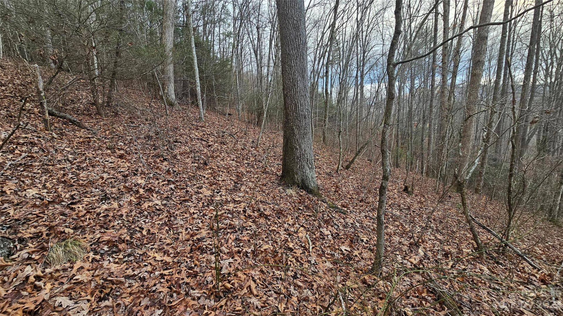 Lot 14 Seay Mountain Road - Photo 8