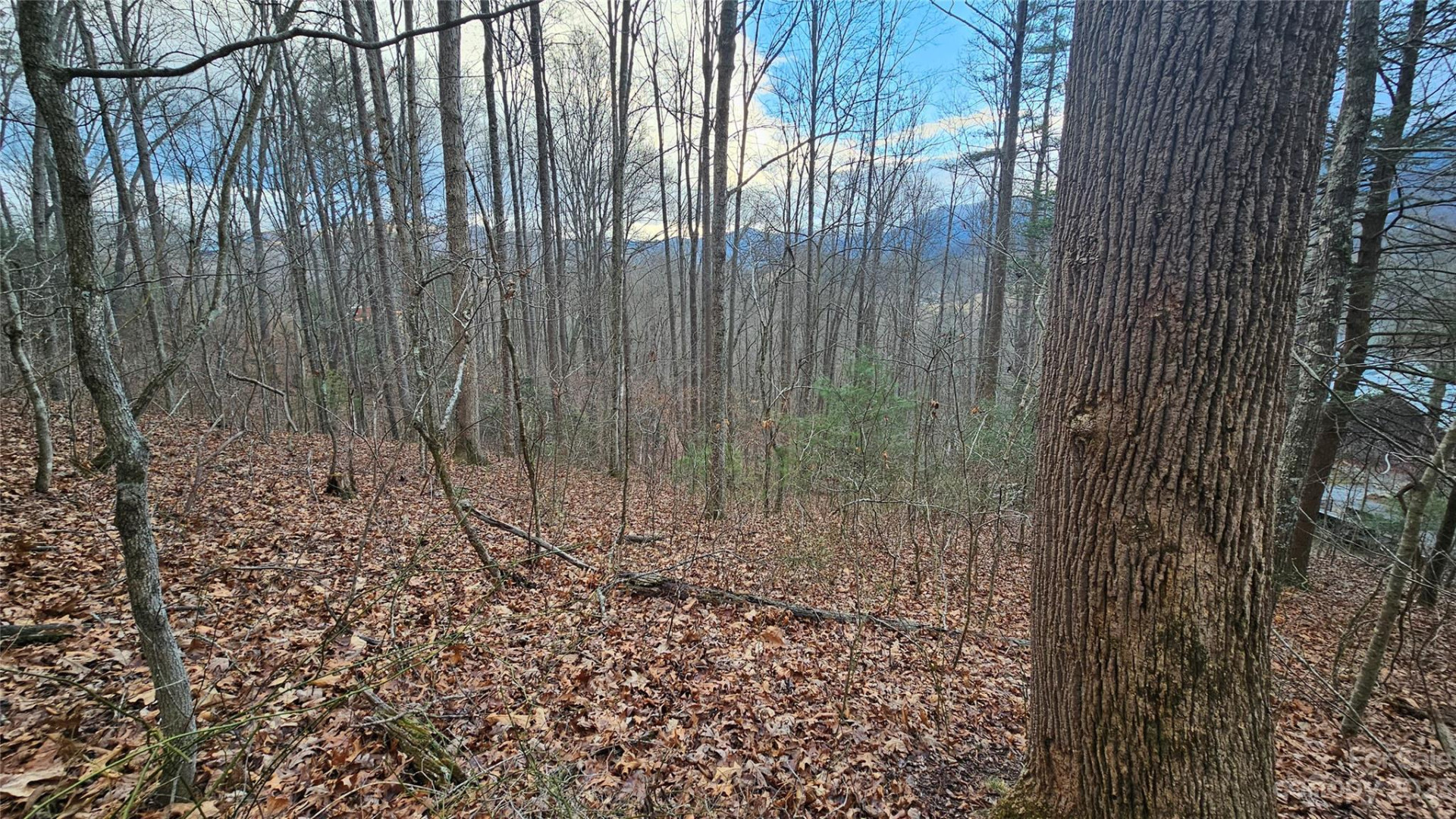 Lot 14 Seay Mountain Road - Photo 9