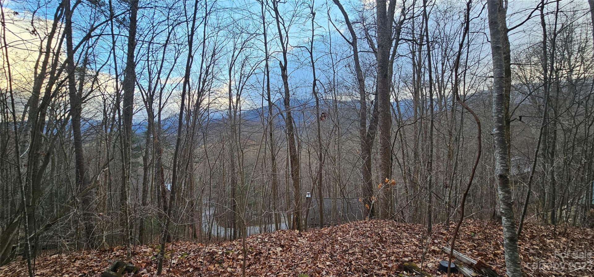 4 Lots Seay Mountain Road