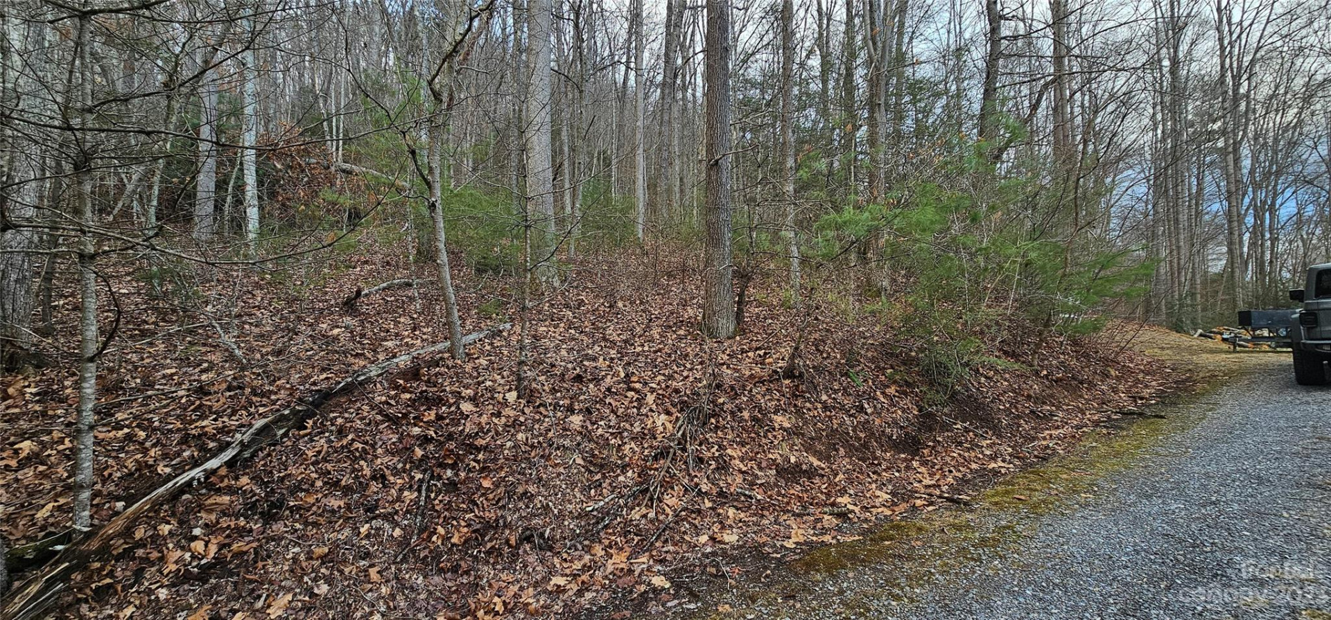 4 Lots Seay Mountain Road - Photo 2