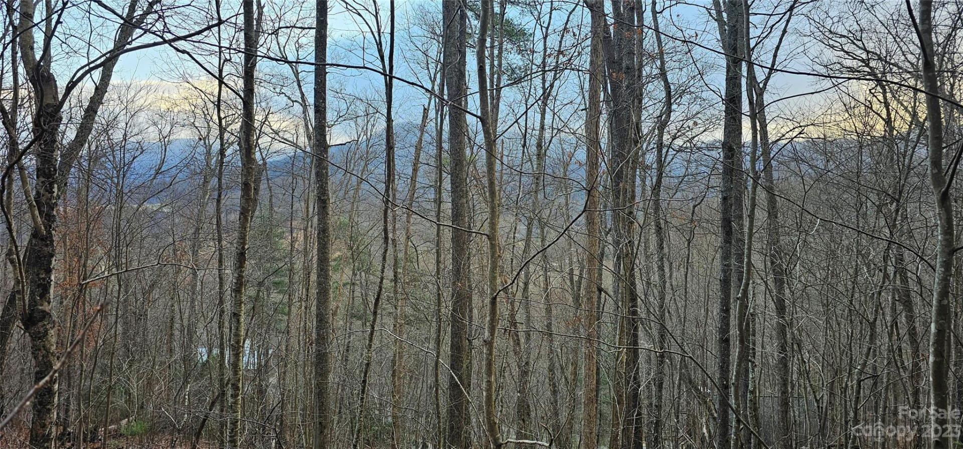 4 Lots Seay Mountain Road - Photo 11