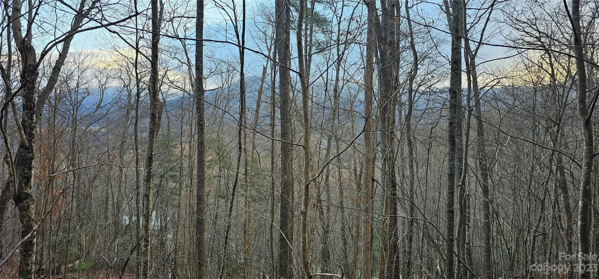 4 Lots Seay Mountain Road - Photo 11