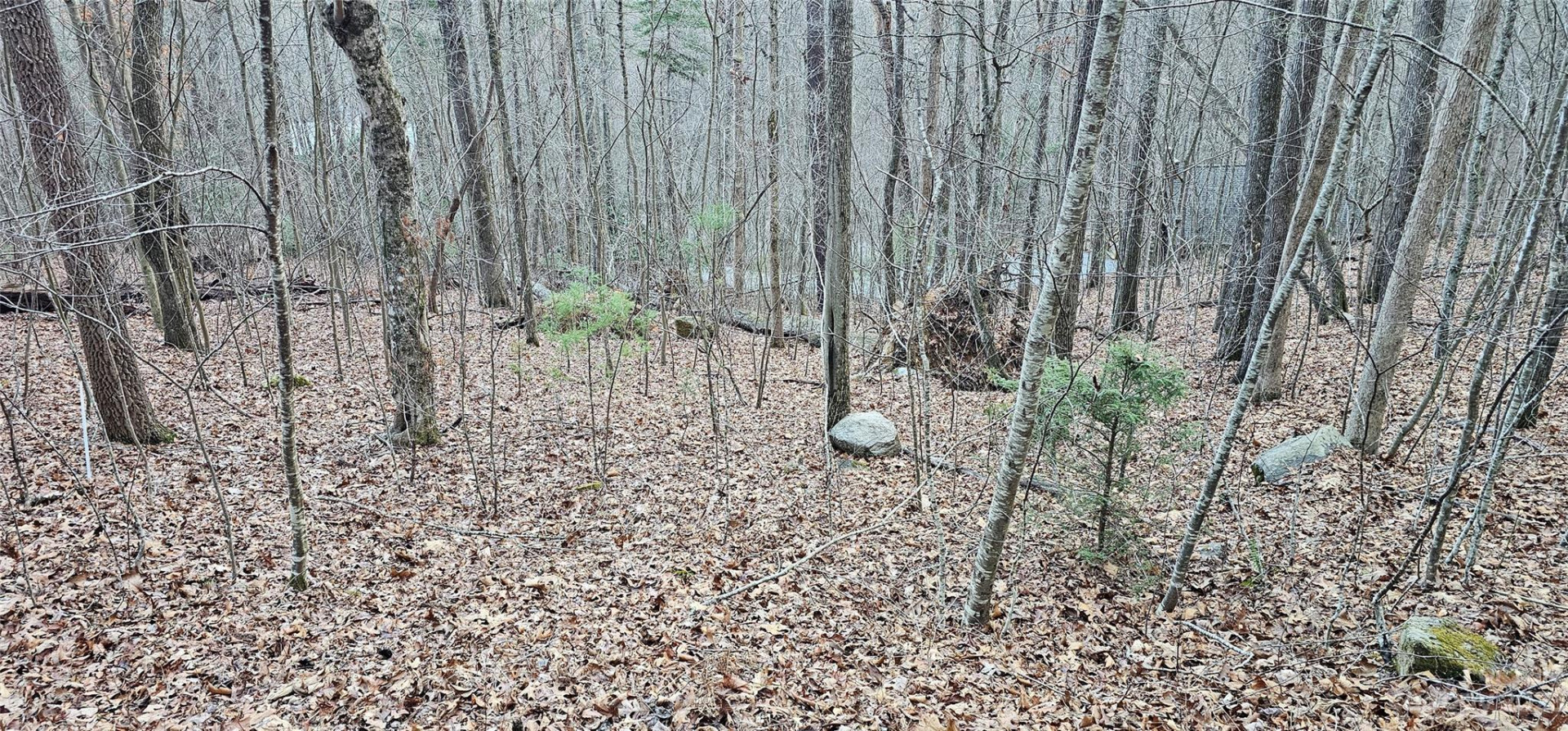 4 Lots Seay Mountain Road - Photo 12