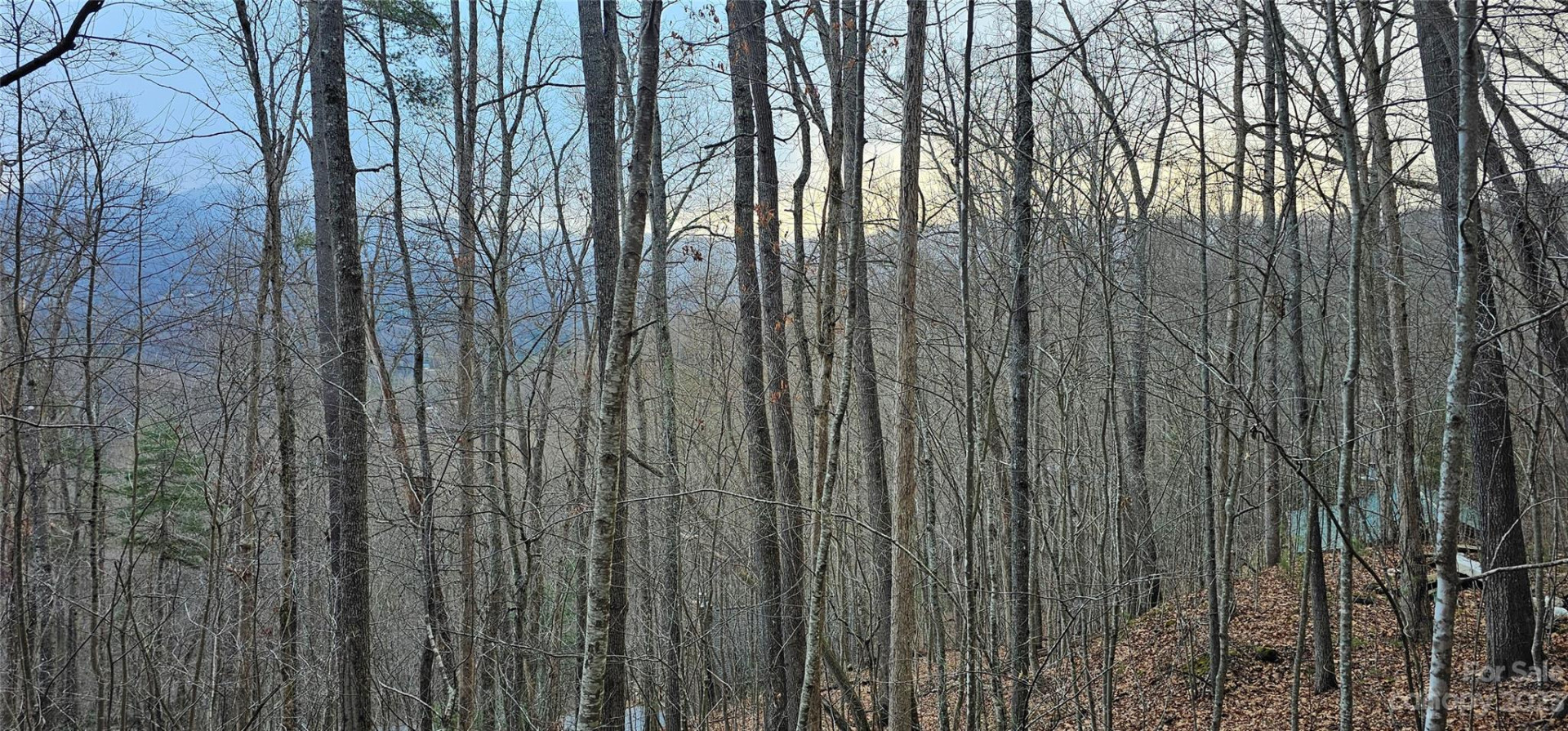 4 Lots Seay Mountain Road - Photo 13