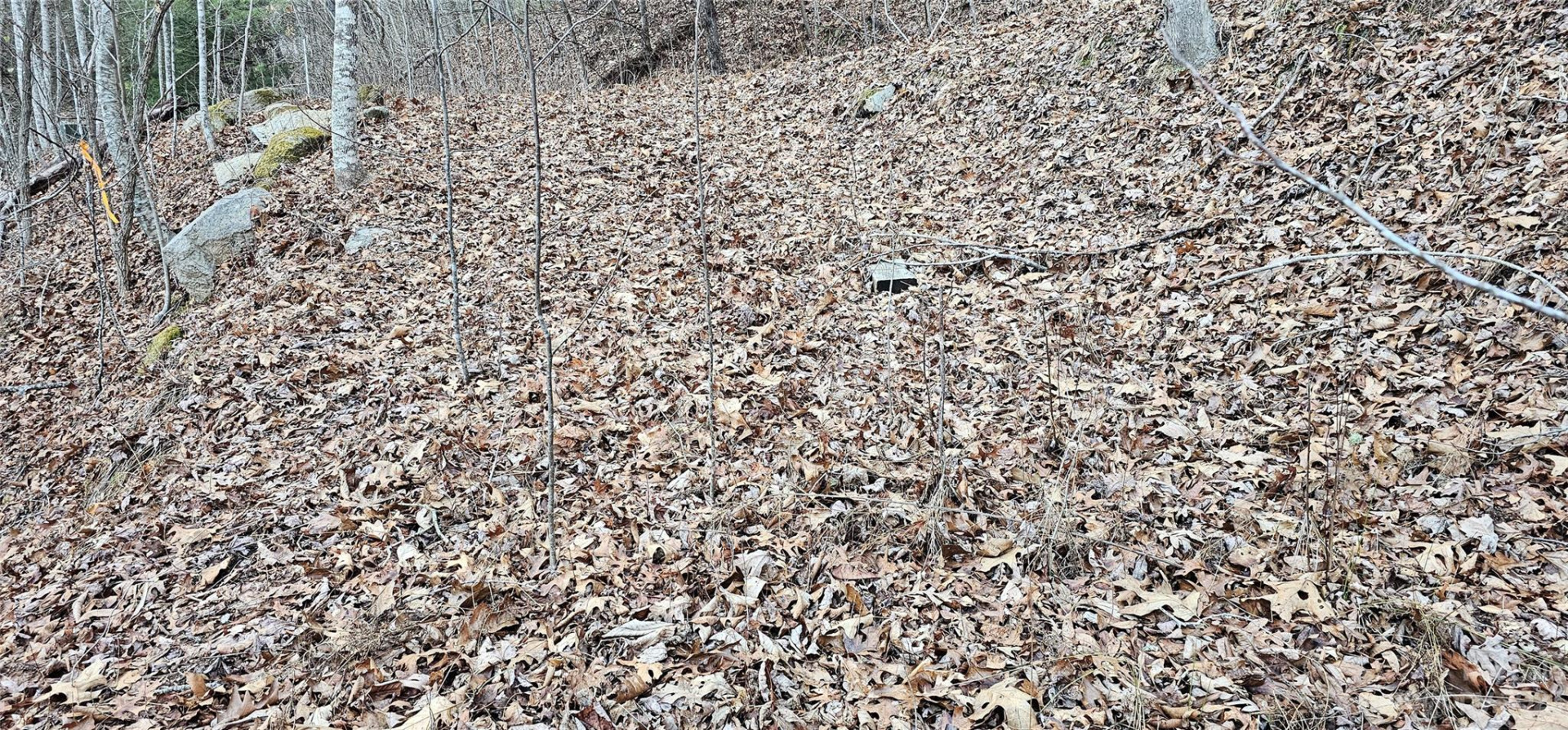 4 Lots Seay Mountain Road - Photo 14