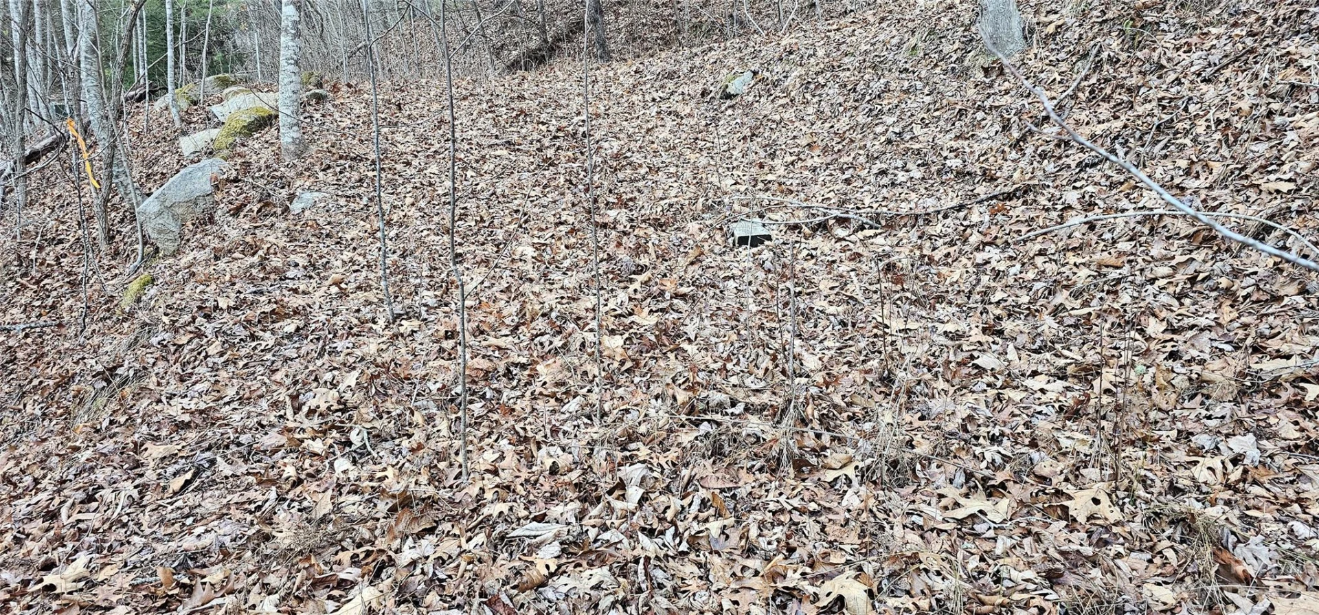 4 Lots Seay Mountain Road - Photo 14