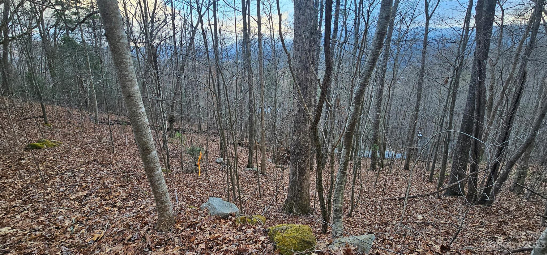 4 Lots Seay Mountain Road - Photo 15