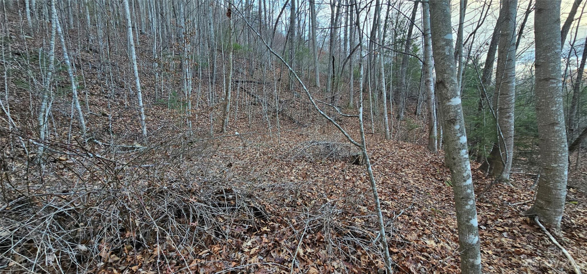 4 Lots Seay Mountain Road - Photo 20