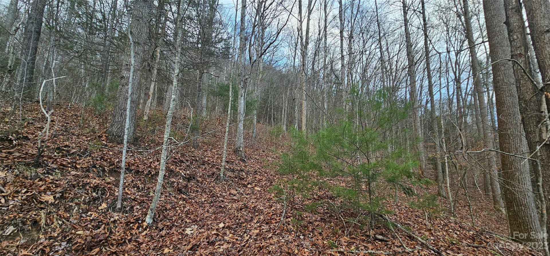 4 Lots Seay Mountain Road - Photo 3