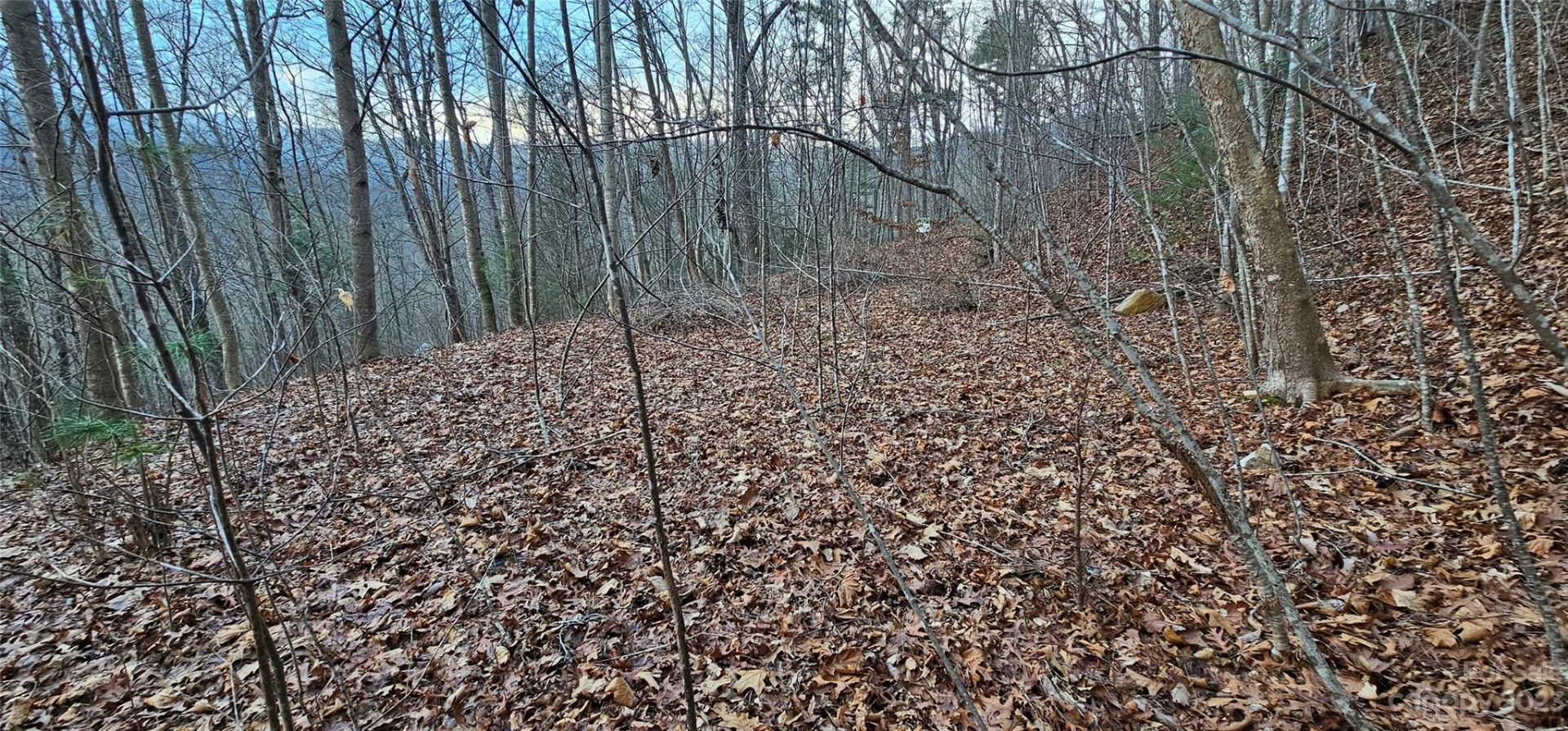 4 Lots Seay Mountain Road - Photo 23