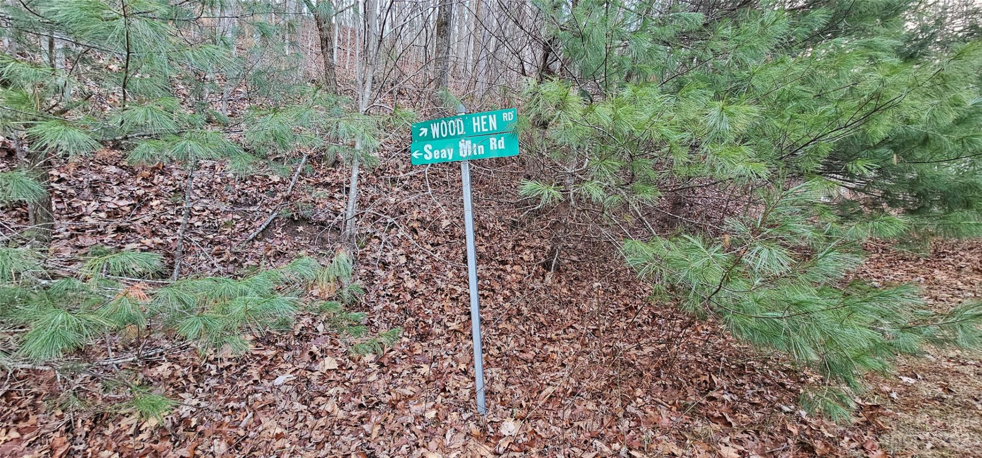 4 Lots Seay Mountain Road - Photo 26