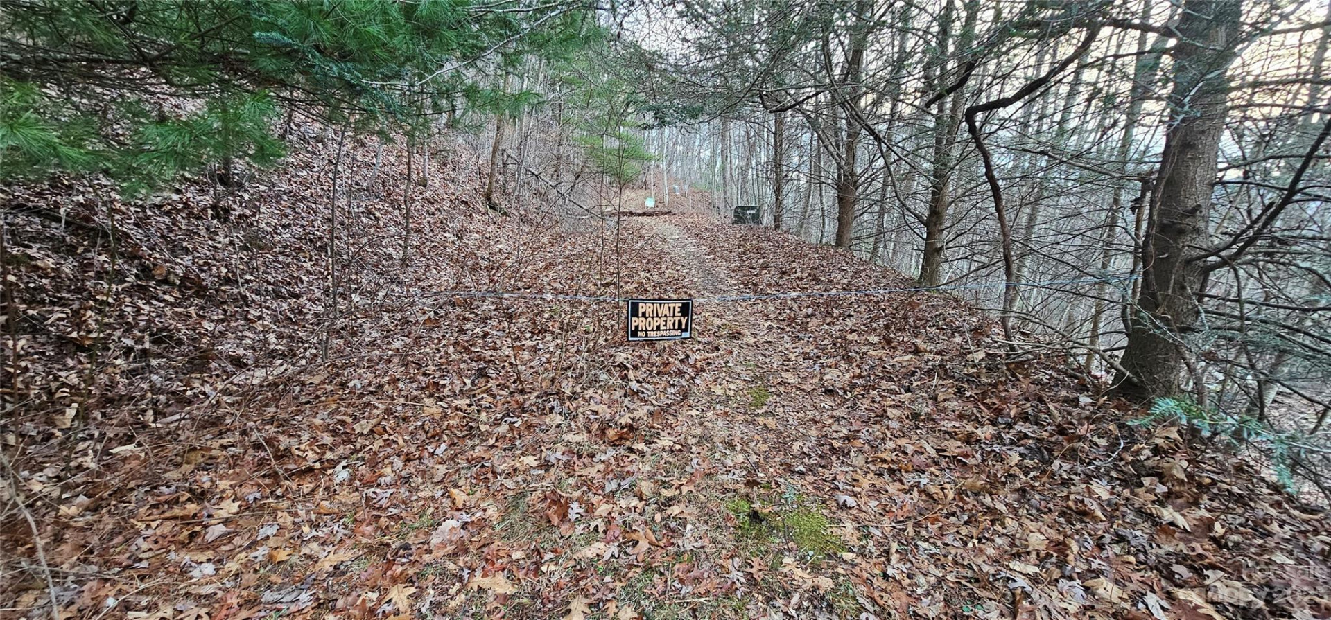 4 Lots Seay Mountain Road - Photo 27