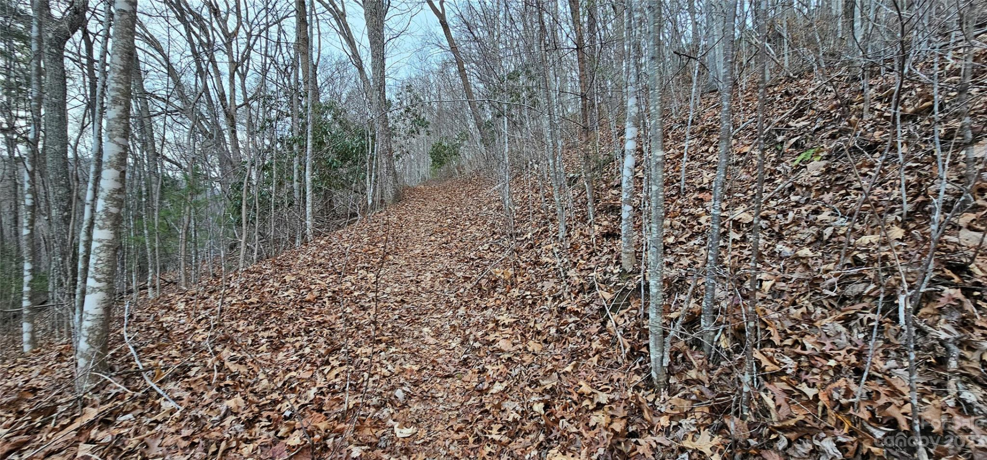 4 Lots Seay Mountain Road - Photo 30