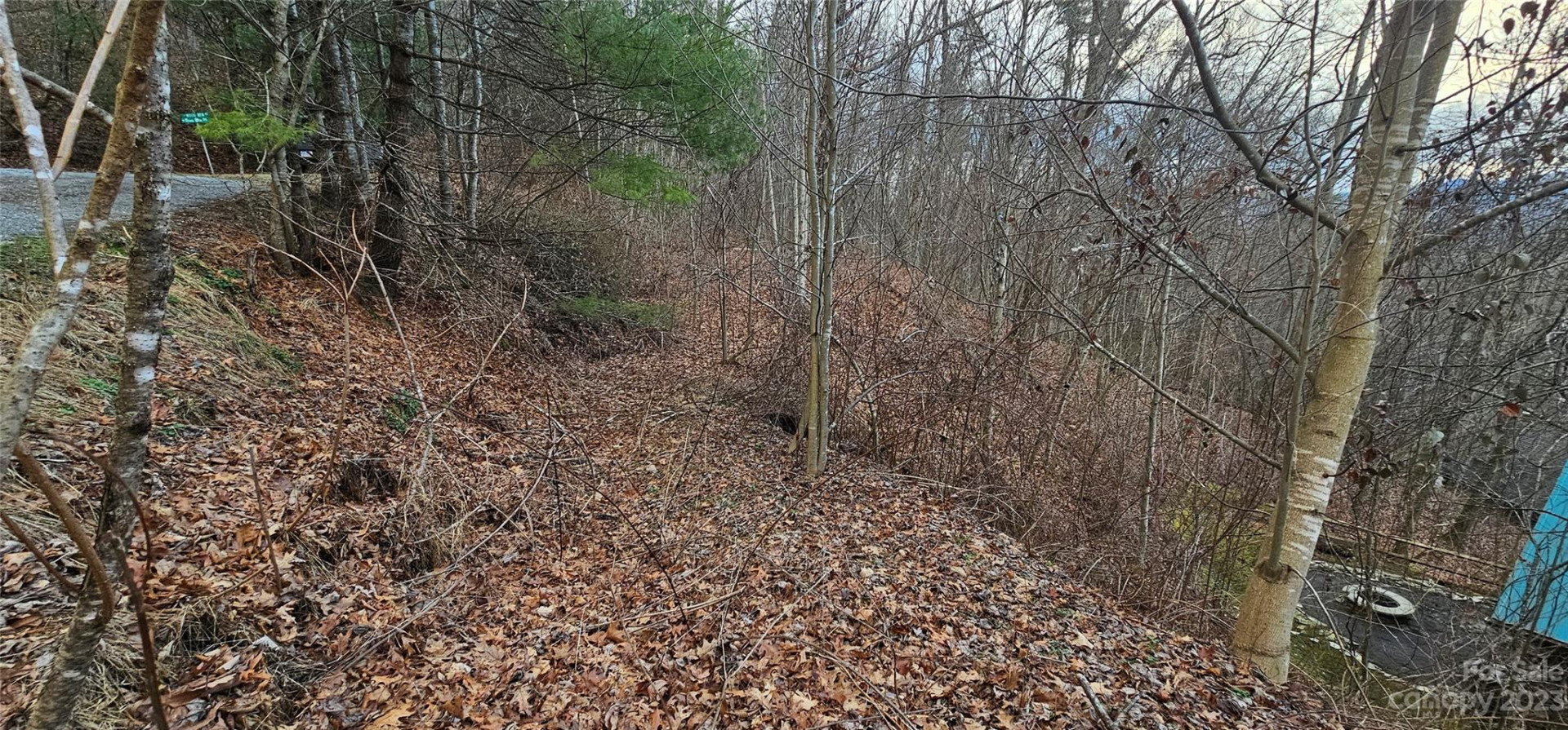 4 Lots Seay Mountain Road - Photo 4