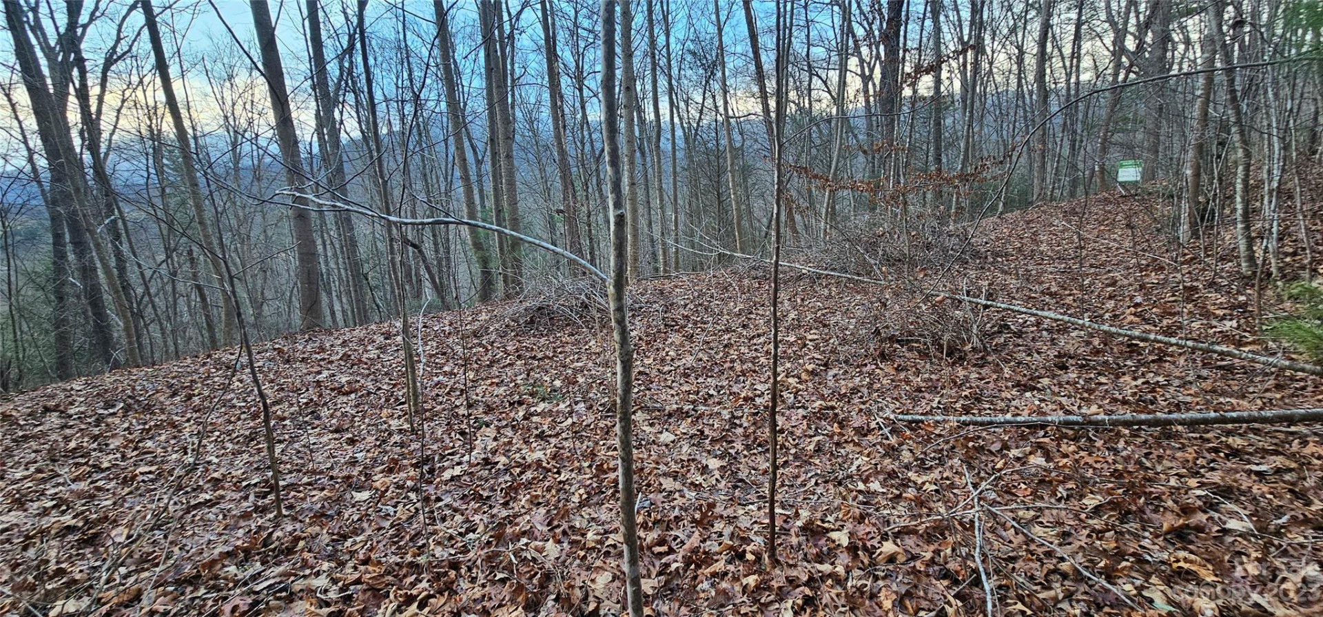 4 Lots Seay Mountain Road - Photo 31