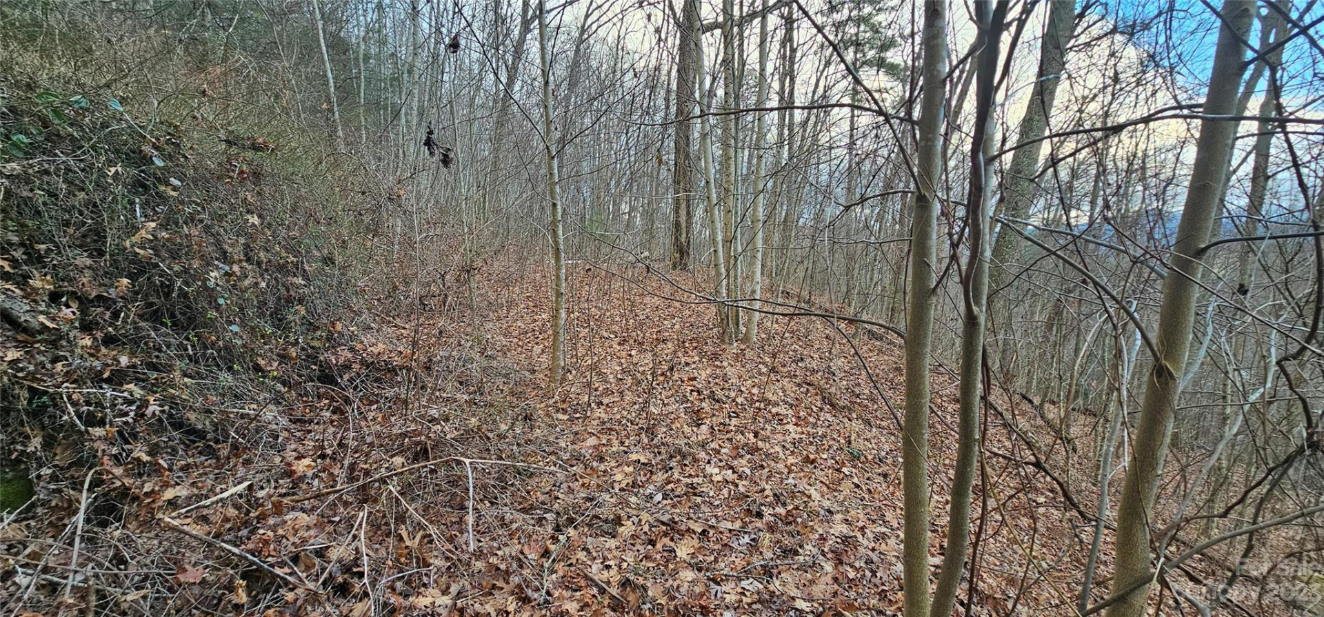 4 Lots Seay Mountain Road - Photo 5