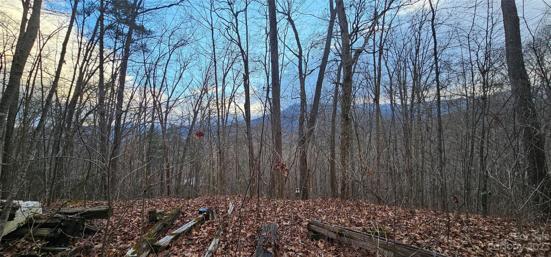 4 Lots Seay Mountain Road - Photo 7