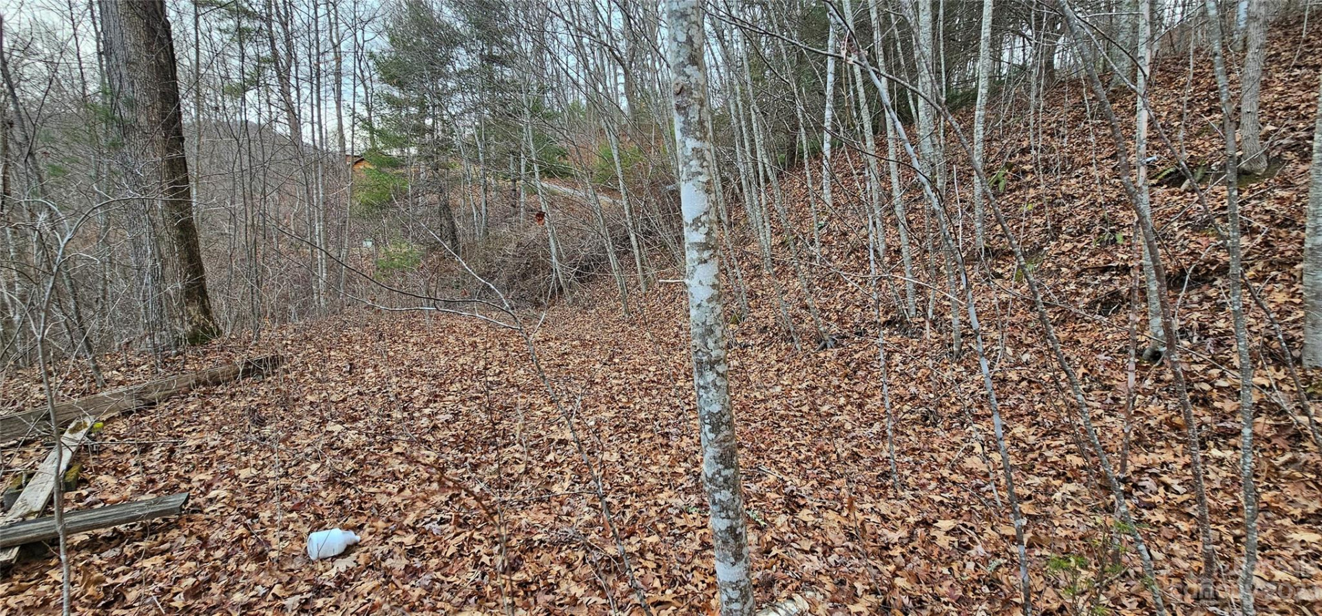 4 Lots Seay Mountain Road - Photo 8