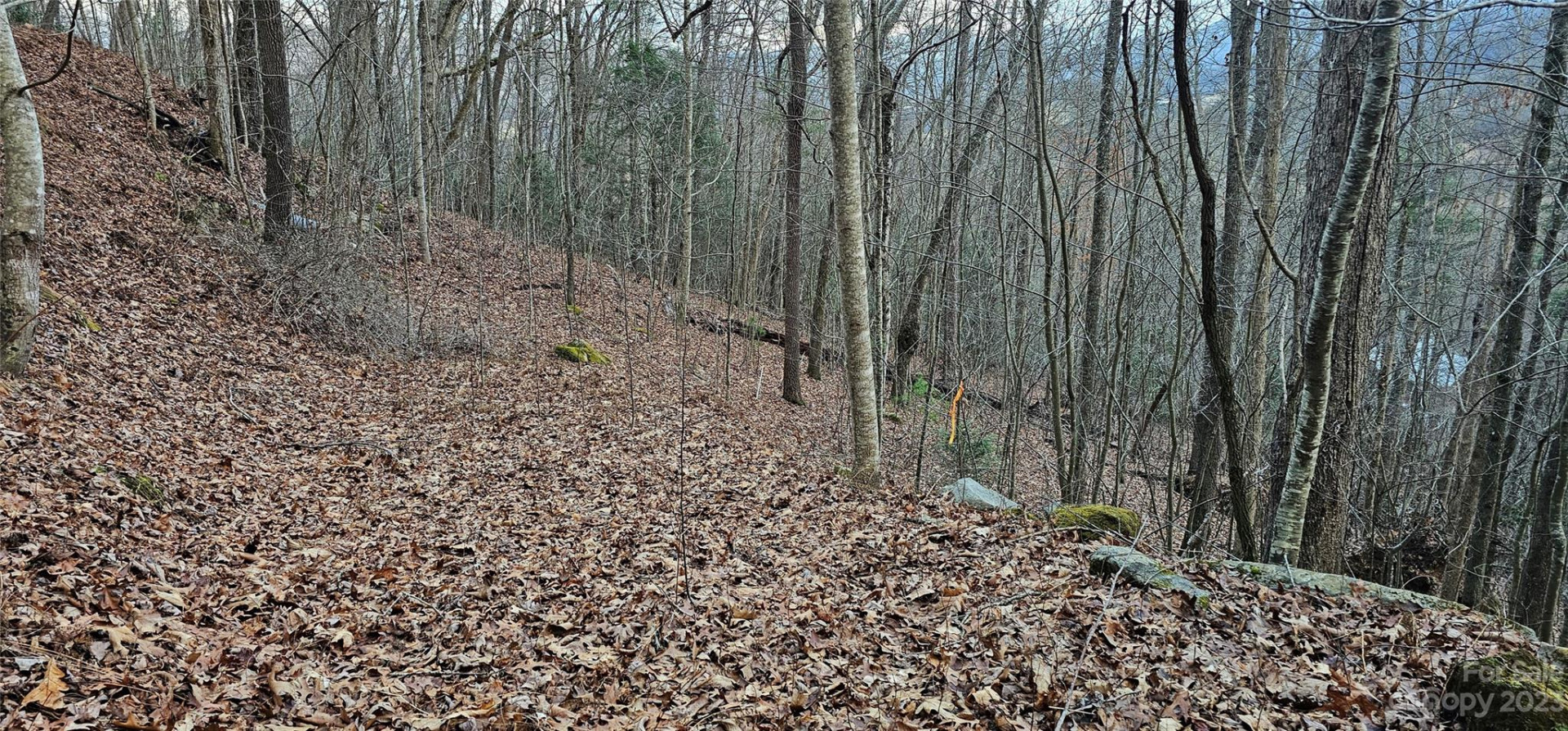 4 Lots Seay Mountain Road - Photo 9