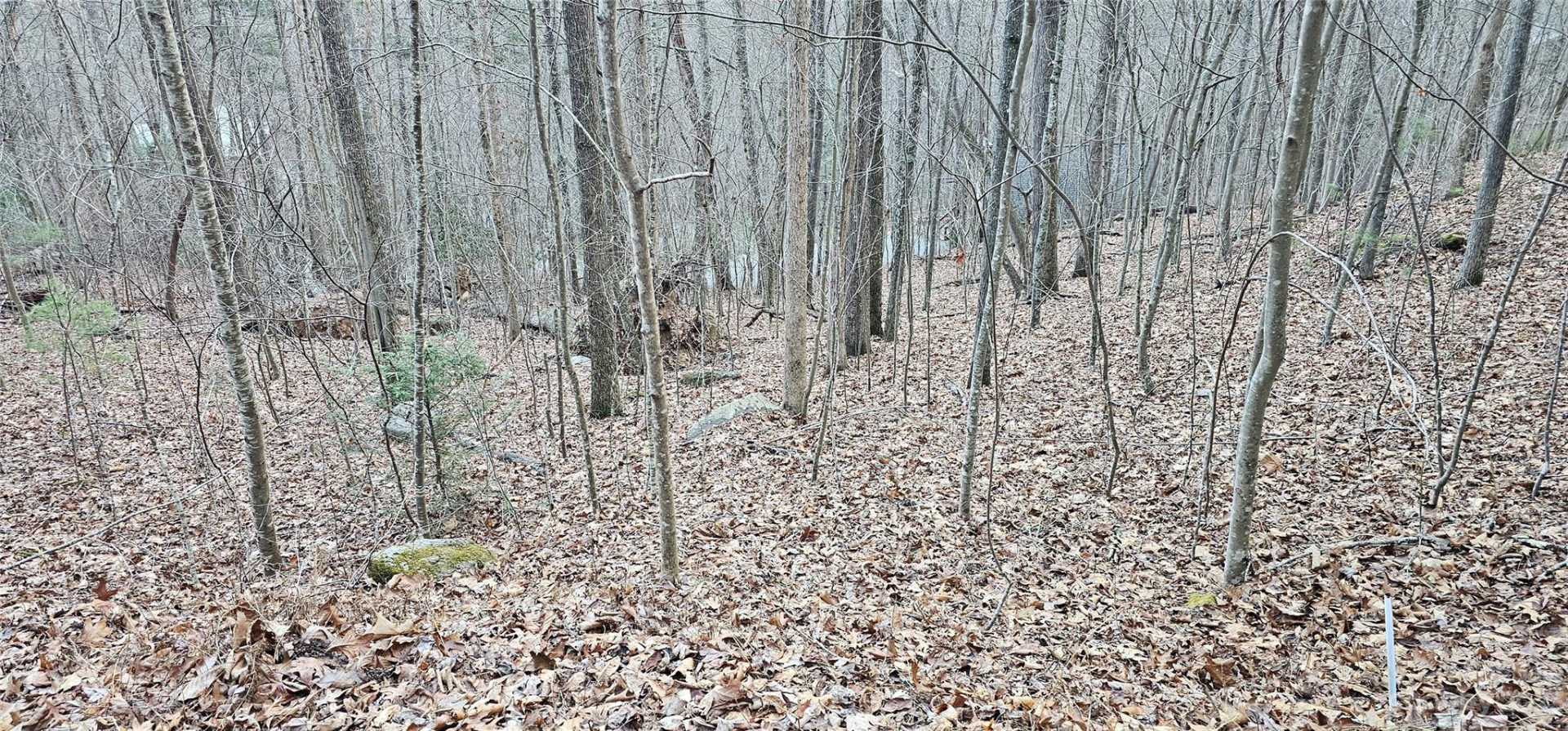 4 Lots Seay Mountain Road - Photo 10