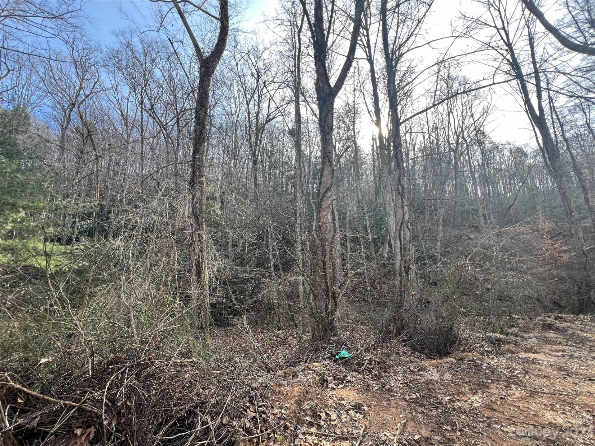 Lot 19 Oakdale Estates Drive