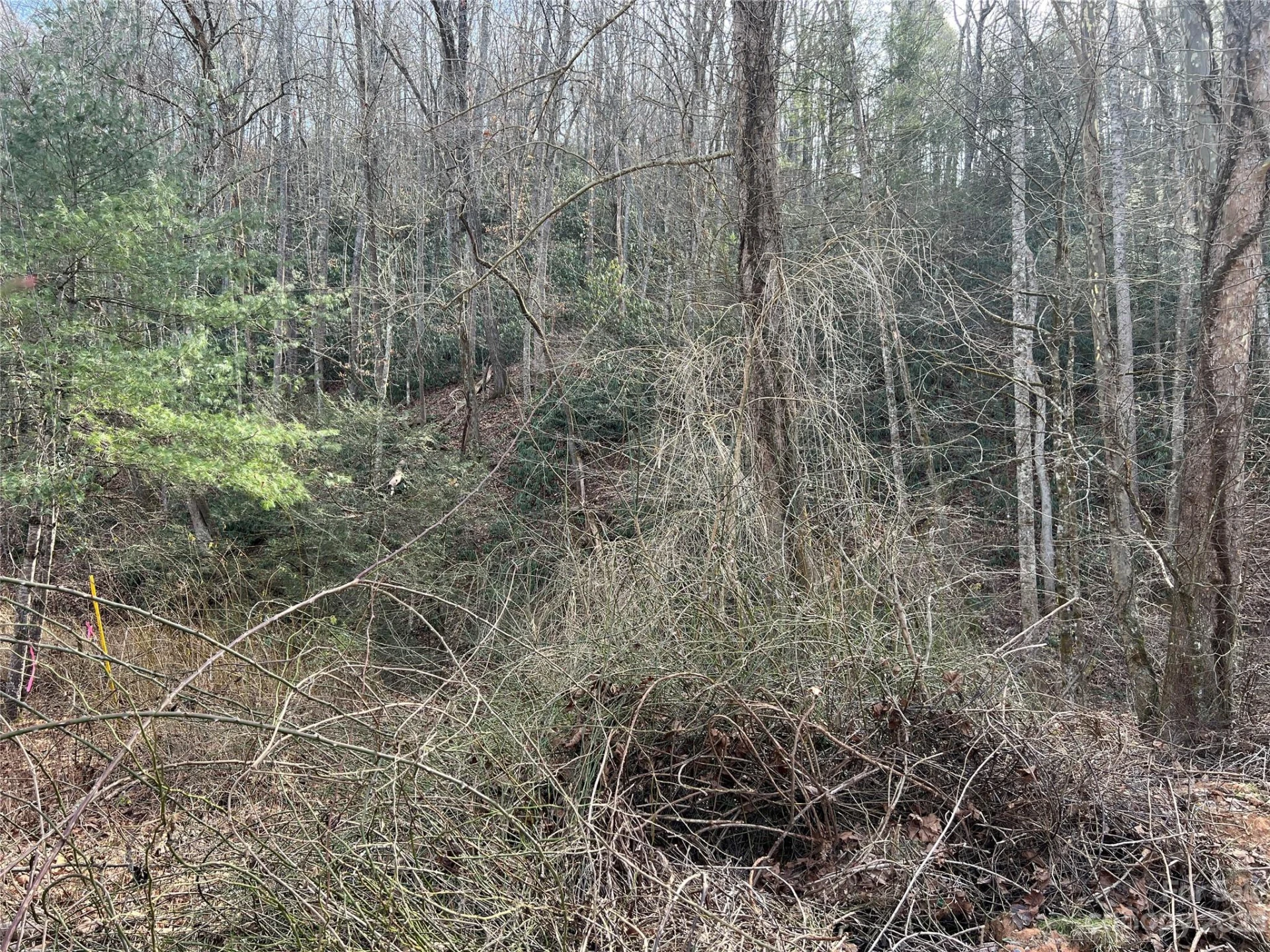 Lot 19 Oakdale Estates Drive - Photo 2