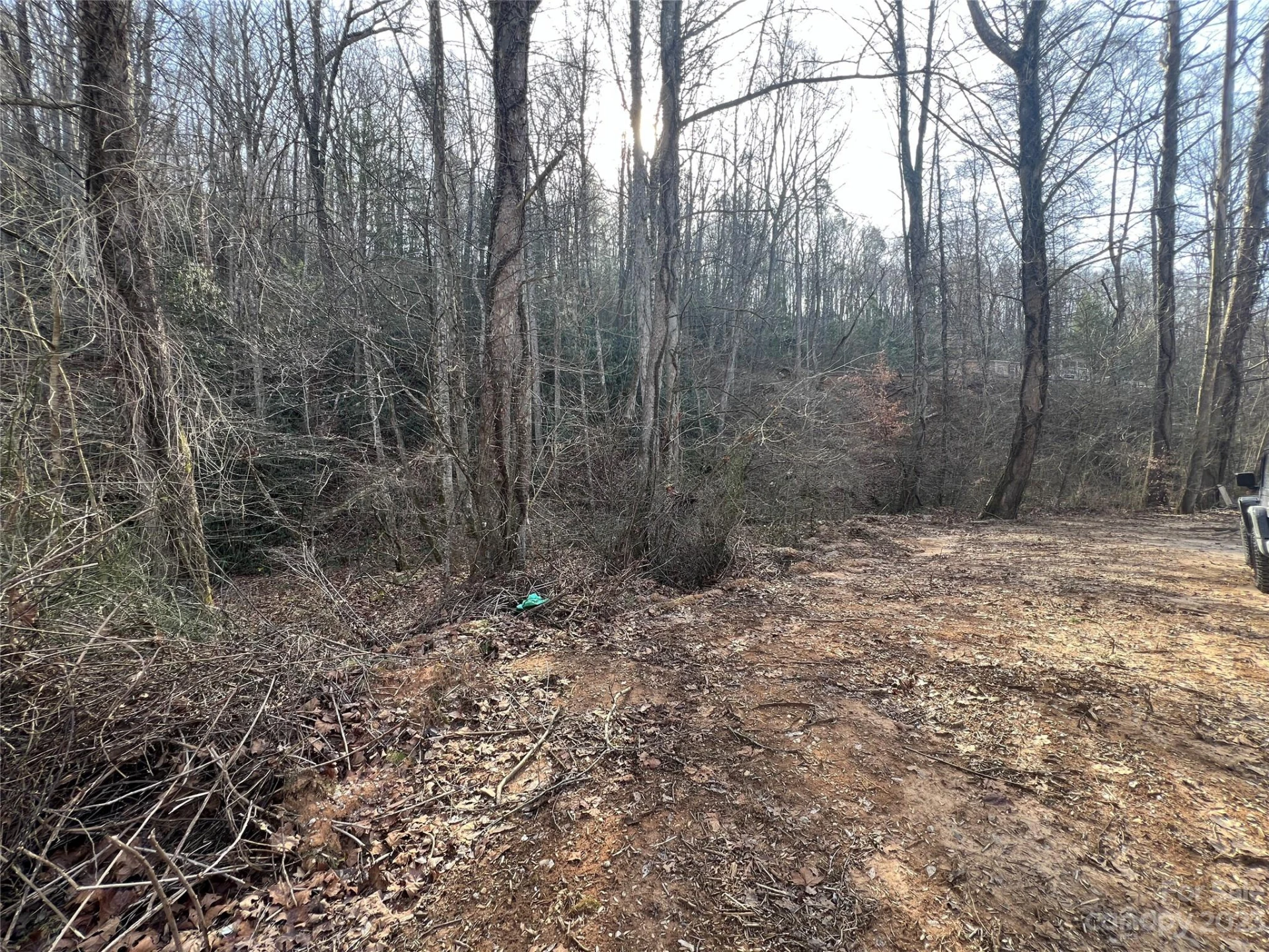 Lot 19 Oakdale Estates Drive - Photo 3