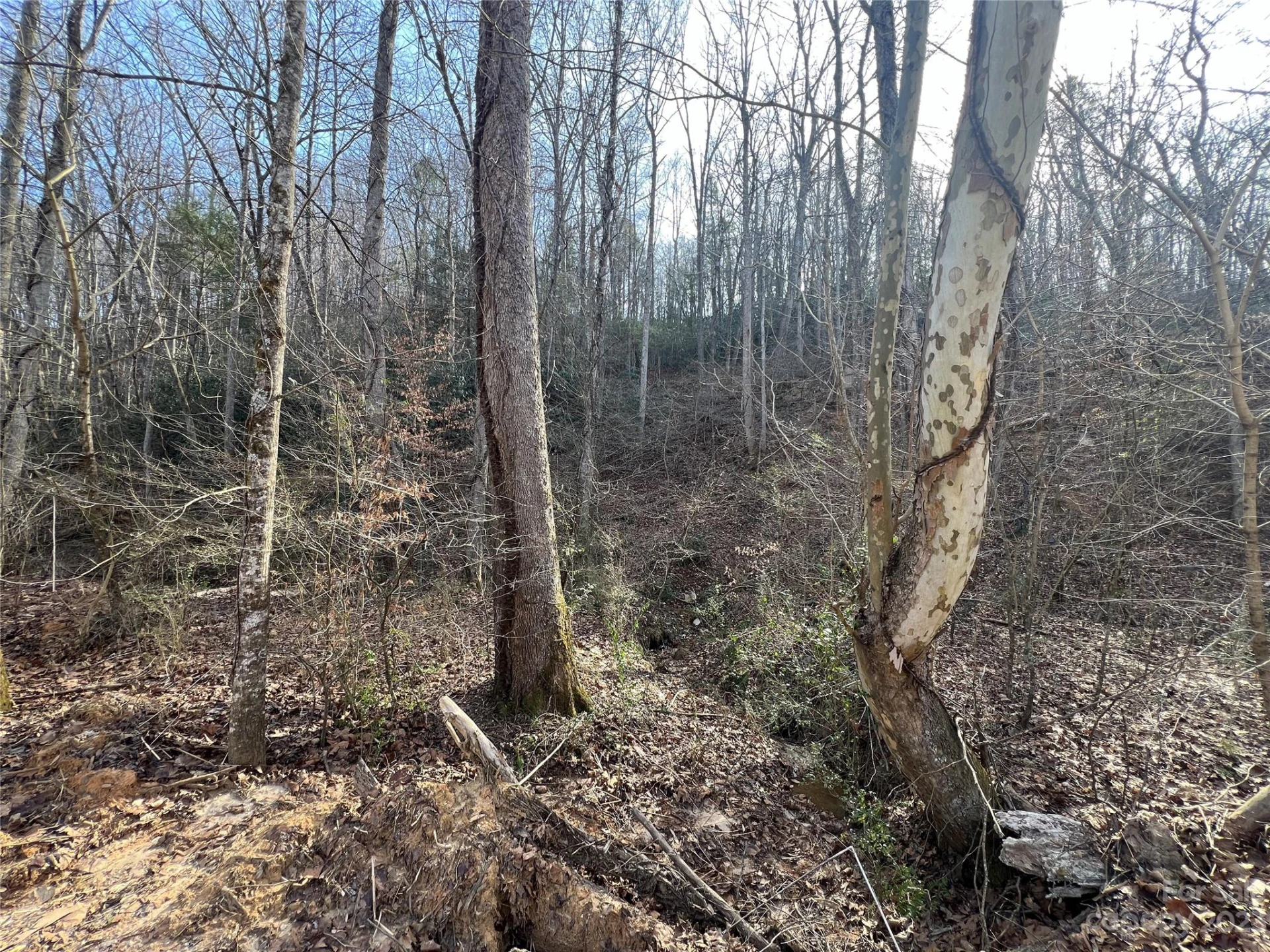 Lot 19 Oakdale Estates Drive - Photo 4